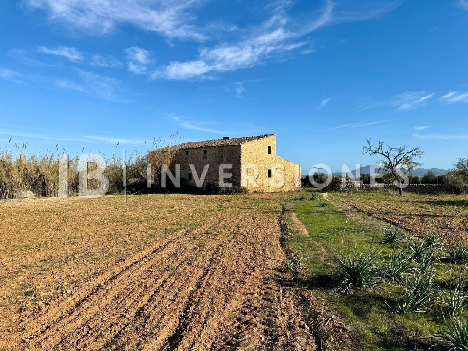  te koop boerderij Felanitx Sud 5