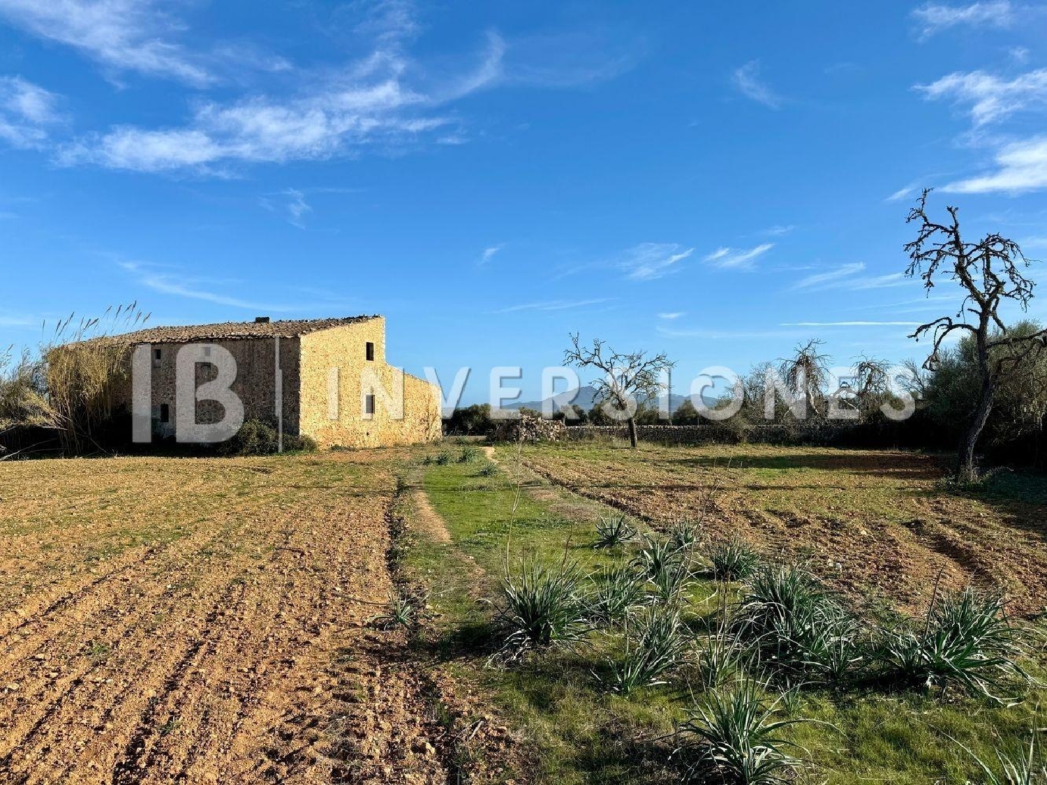 te koop boerderij Felanitx Sud 4