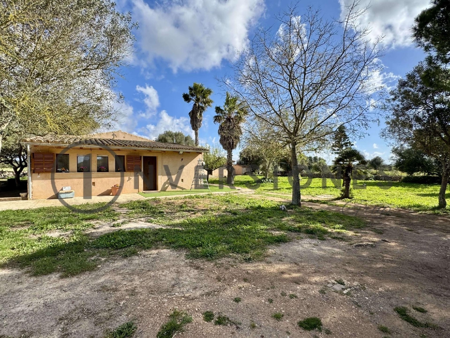  te koop boerderij Felanitx Sud 6