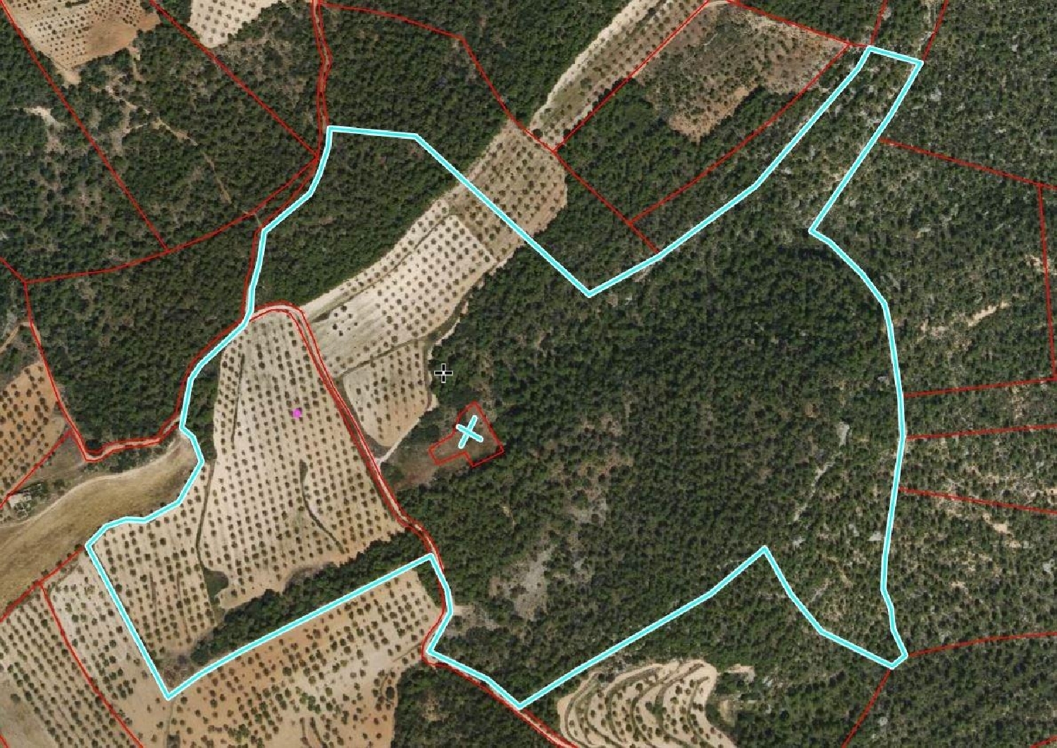  en venta finca rústica Fuentespalda Matarraña 6