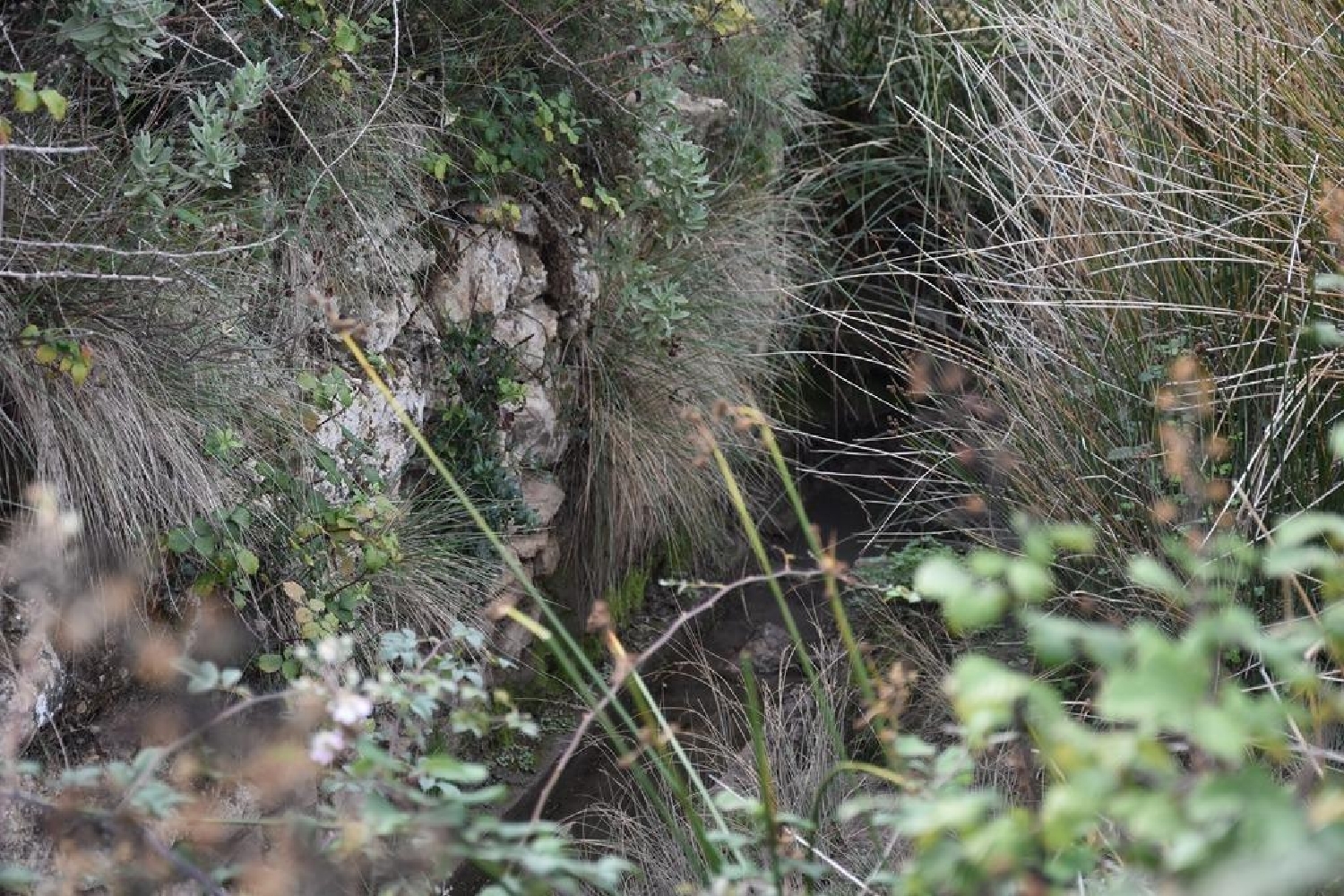 en venta finca rústica Fuentespalda Matarraña 4