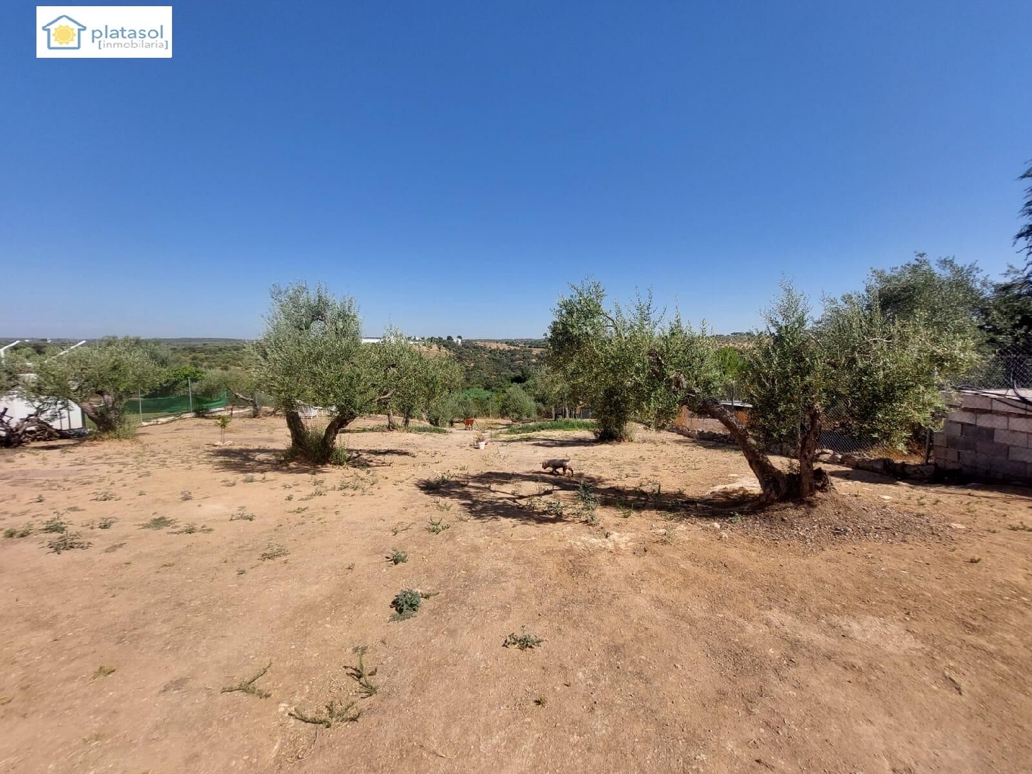  te koop boerderij Gerena Sierra Norte 4