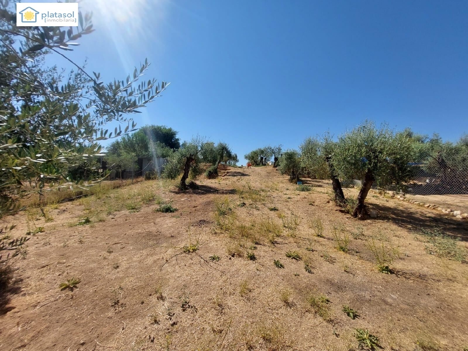  te koop boerderij Gerena Sierra Norte 5