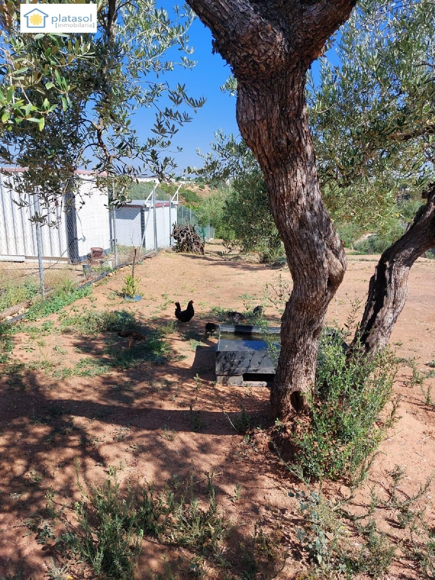  te koop boerderij Gerena Sierra Norte 6