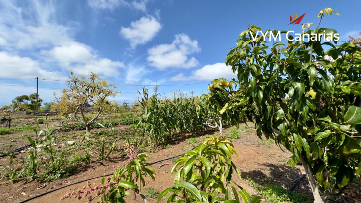 à vendre maison de campagne Guía De Isora Zona Suroeste 3