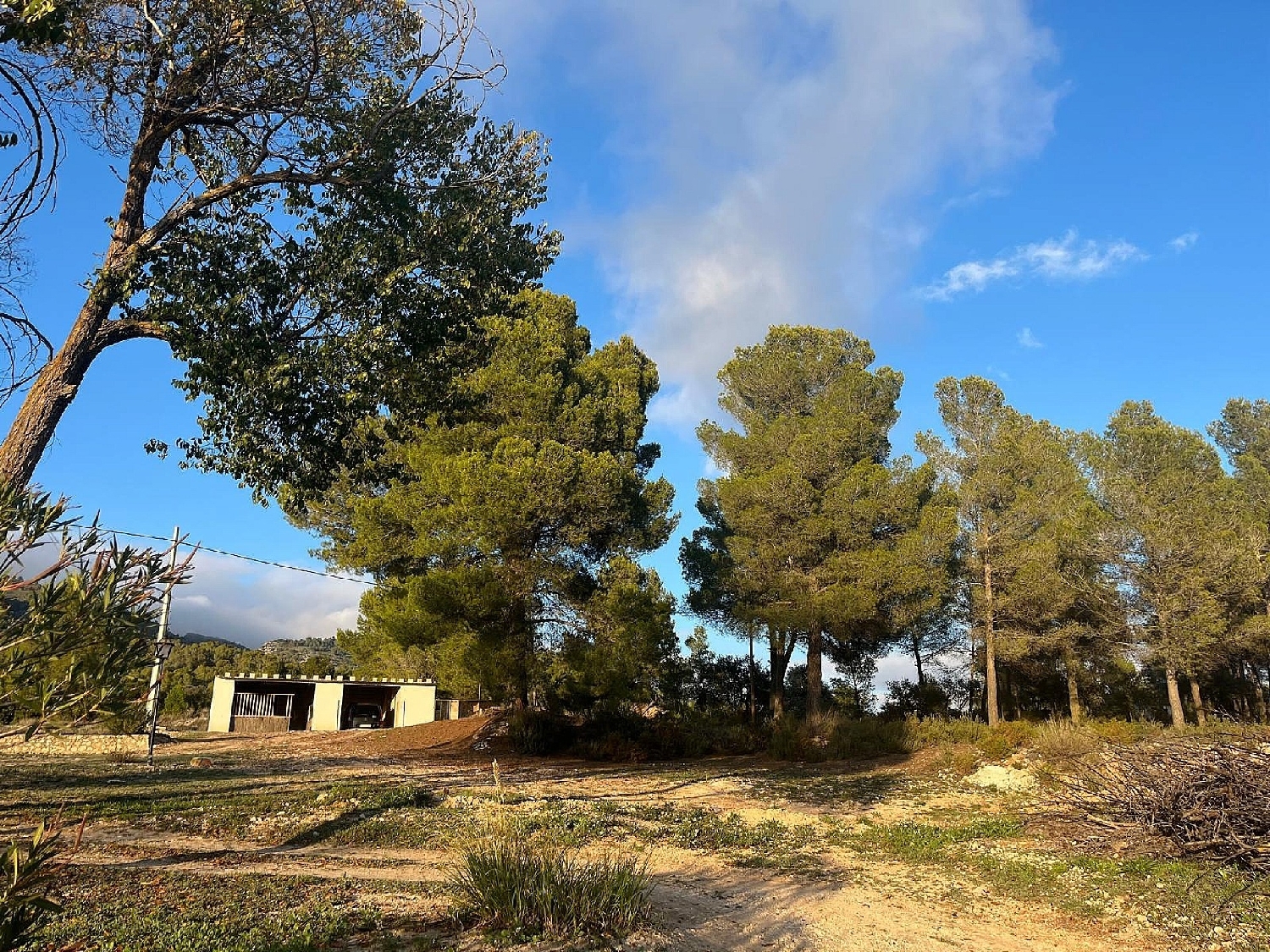 à vendre maison de campagne Ibi Alcoia 2