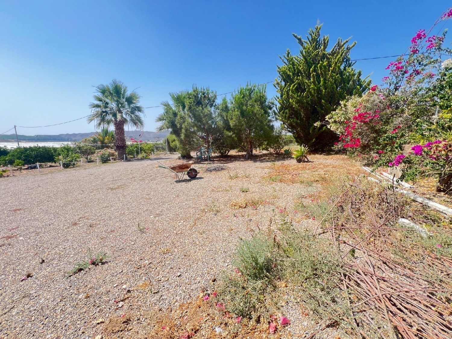 till salu hus på landet La Basca Huerta De Murcia 2