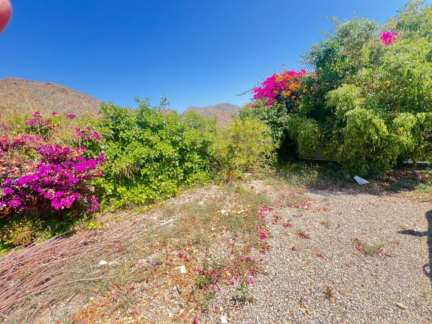 till salu hus på landet La Basca Huerta De Murcia 3