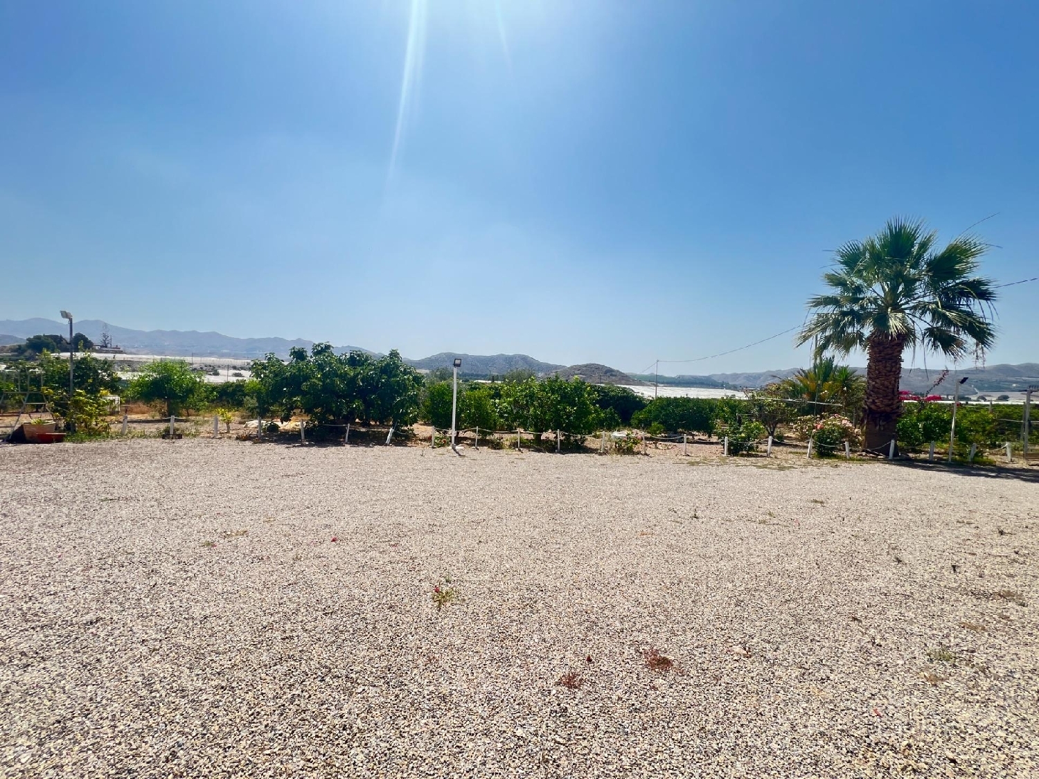  till salu hus på landet La Basca Huerta De Murcia 4