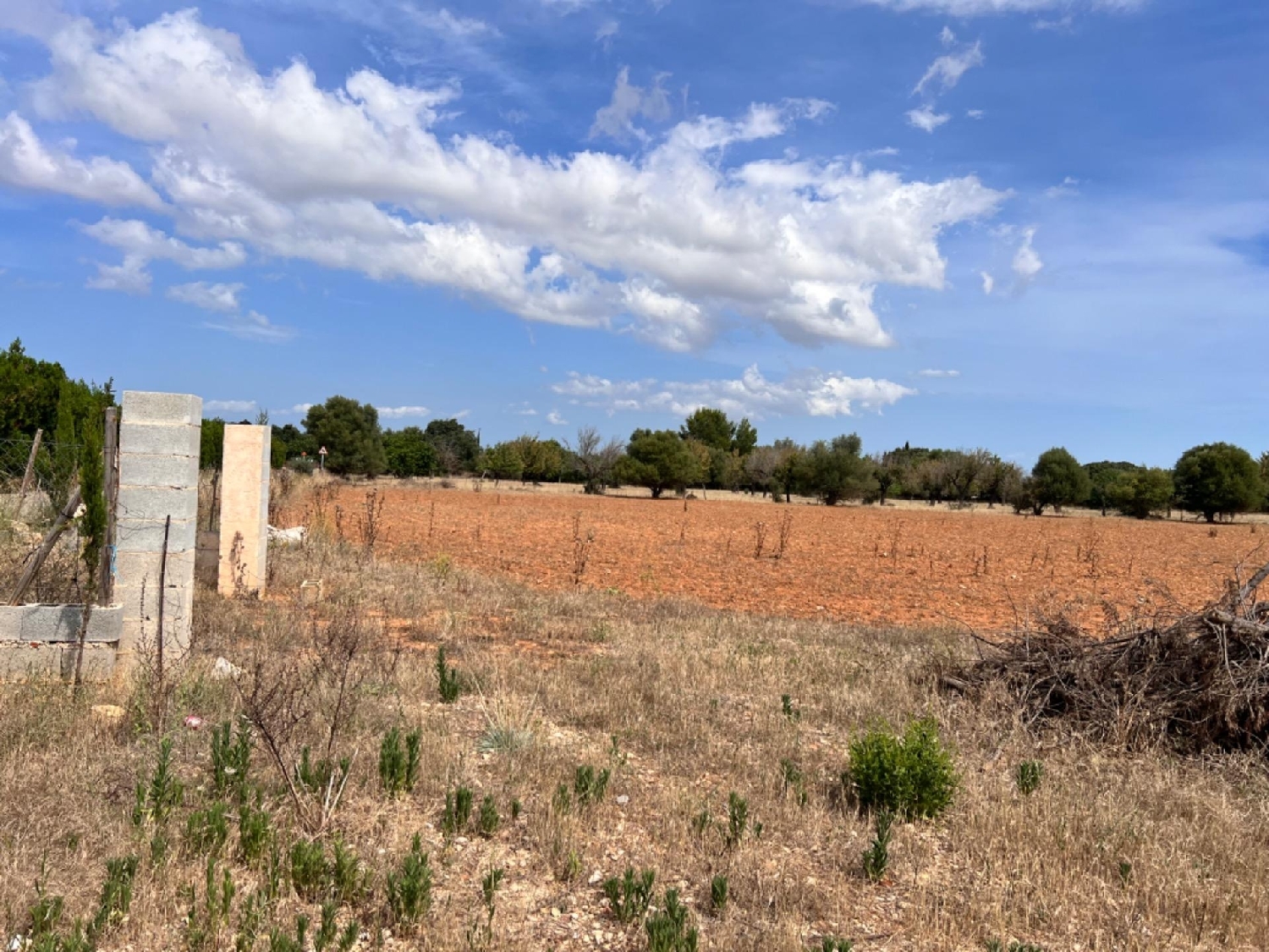  te koop boerderij La Campaneta Alacantí 6