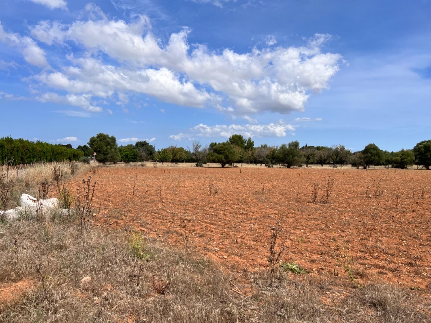 te koop boerderij La Campaneta Alacantí 3