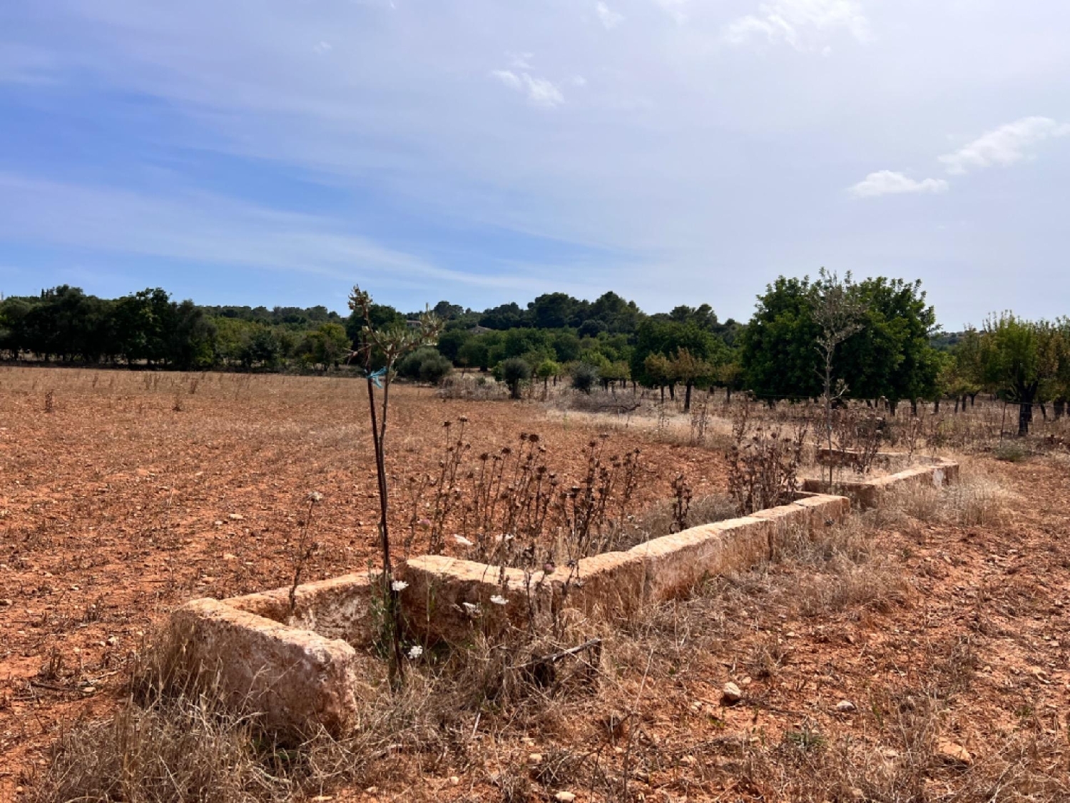  te koop boerderij La Campaneta Alacantí 5