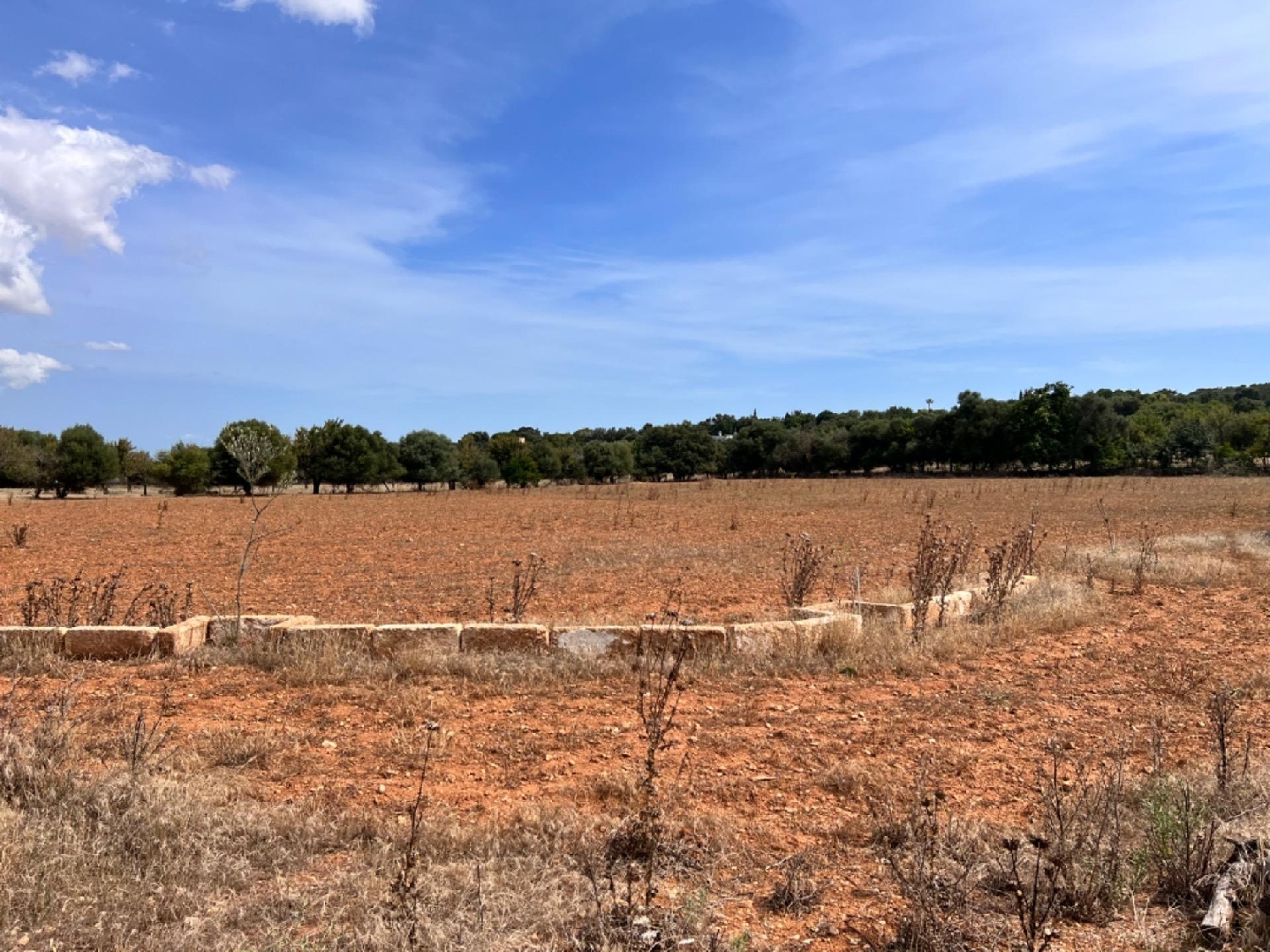  te koop boerderij La Campaneta Alacantí 8