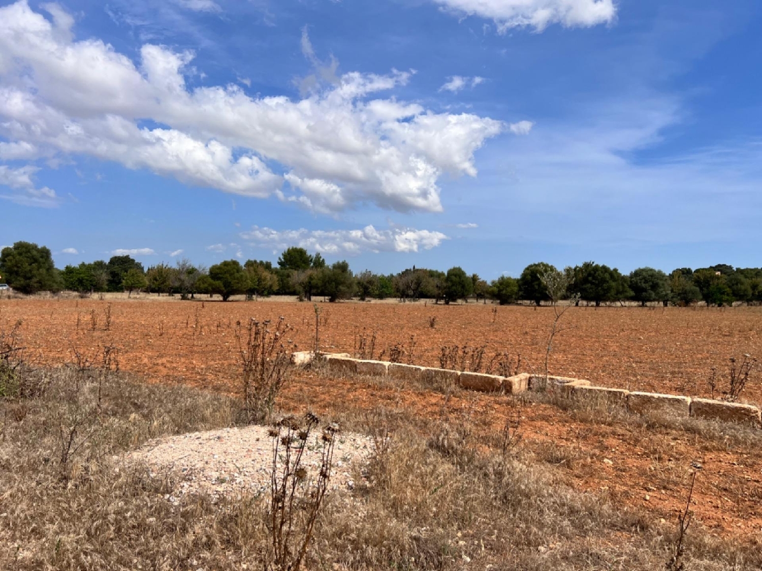 te koop boerderij La Campaneta Alacantí 2