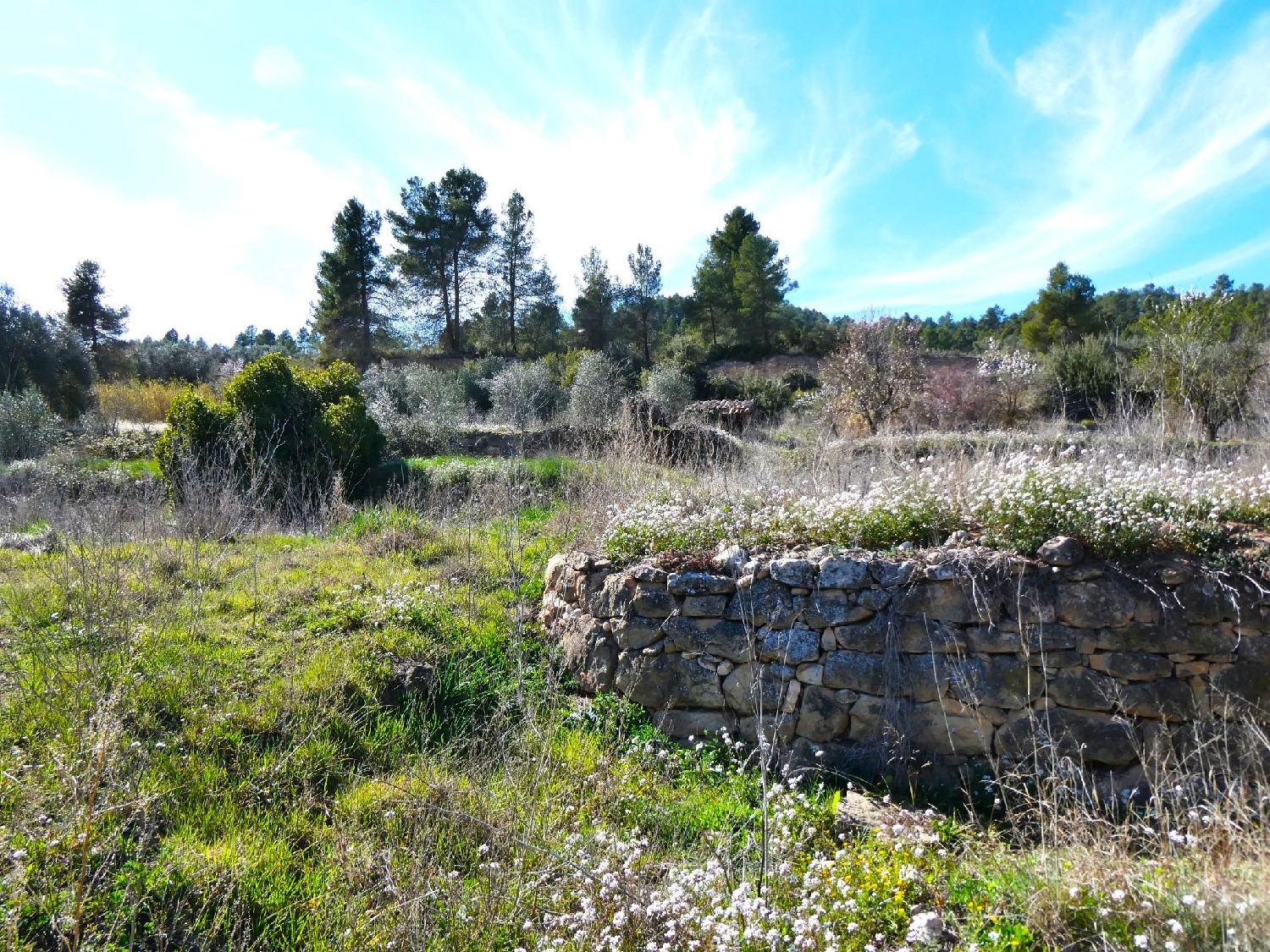  à vendre maison de campagne La Fresneda Matarraña 15