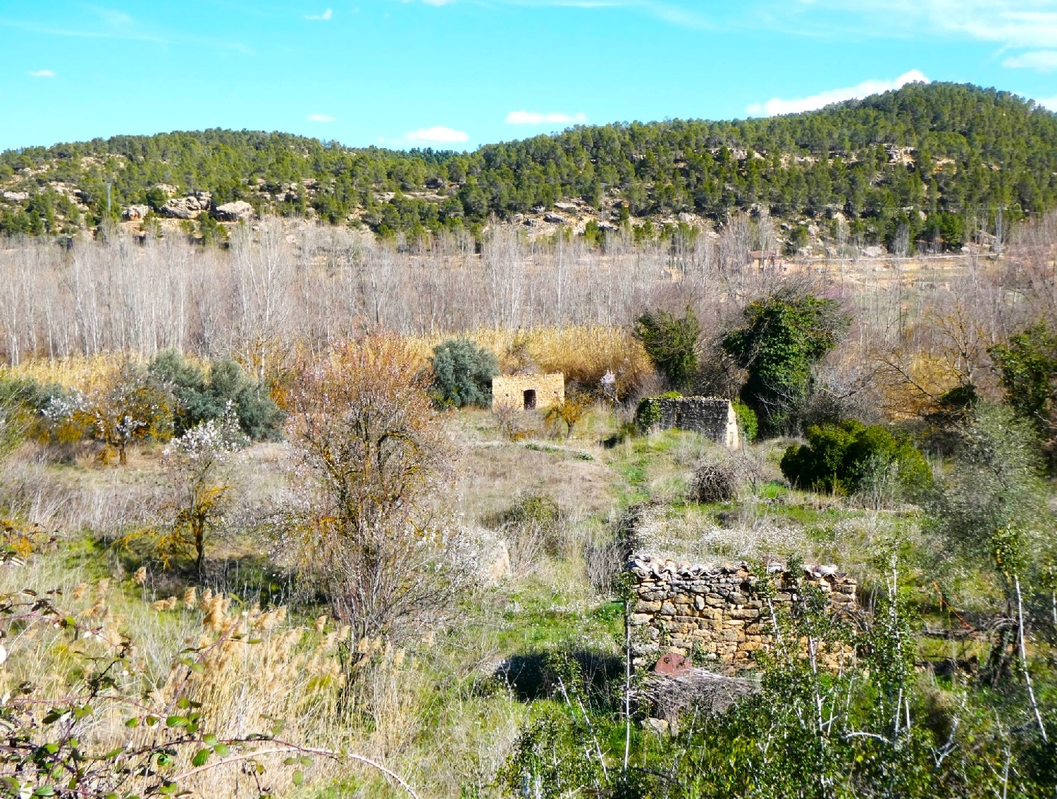  à vendre maison de campagne La Fresneda Matarraña 2