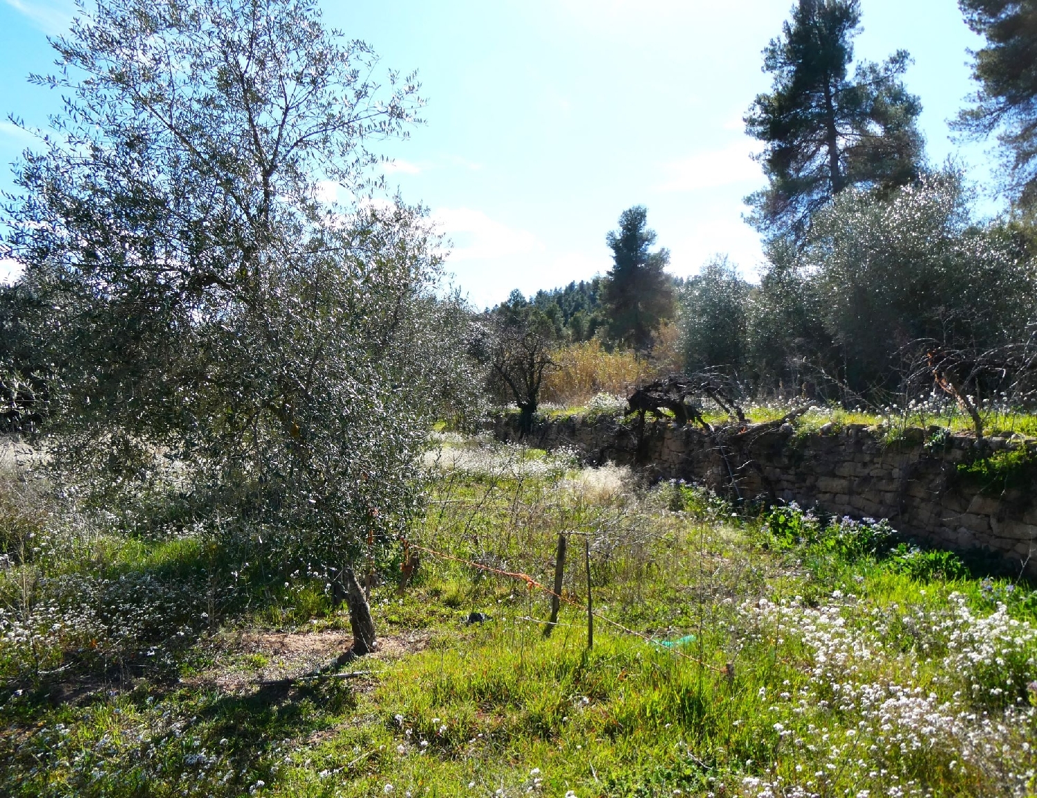  à vendre maison de campagne La Fresneda Matarraña 6