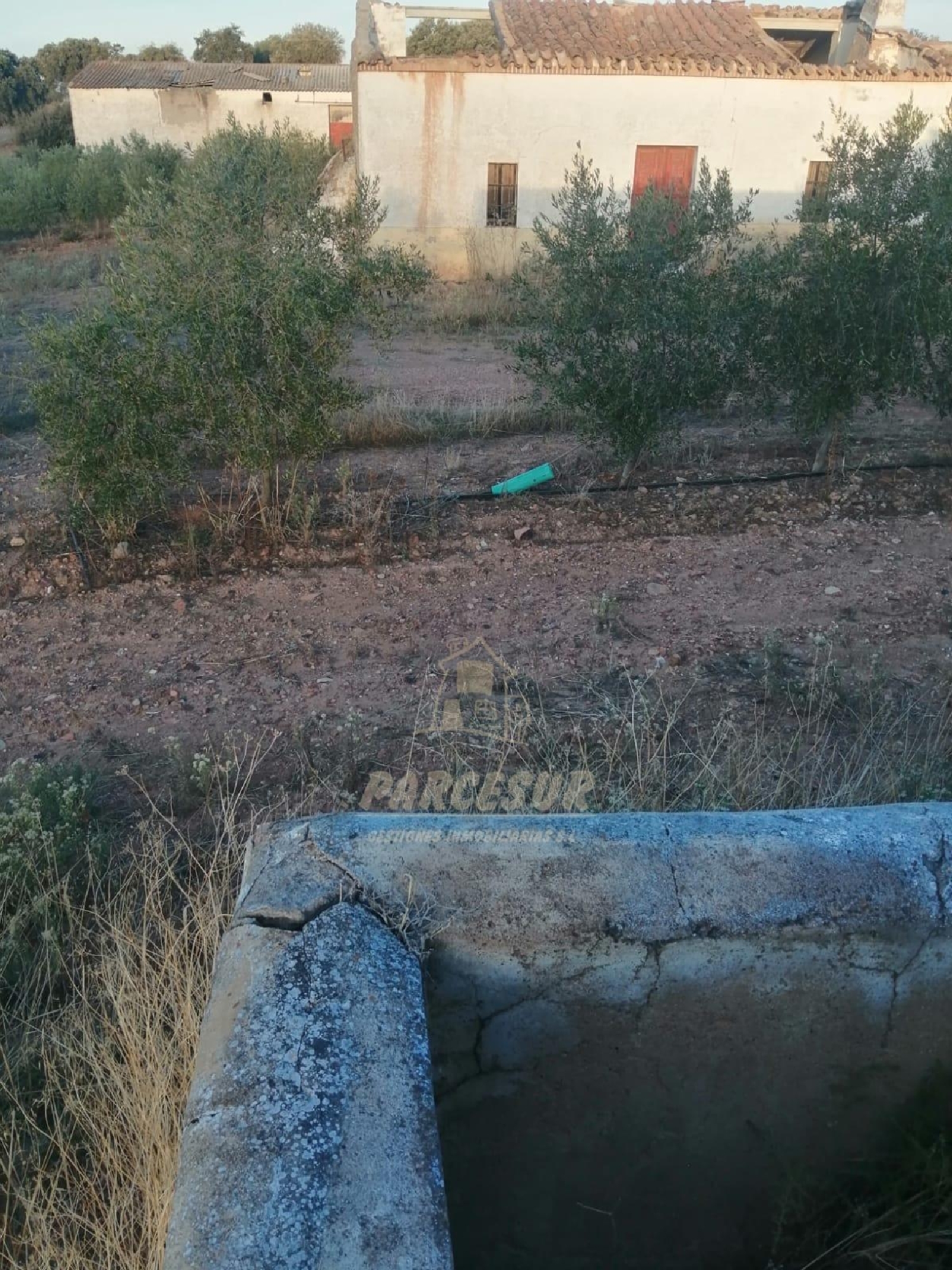  à vendre maison de campagne La Granjuela Valle Del Guadiato 5