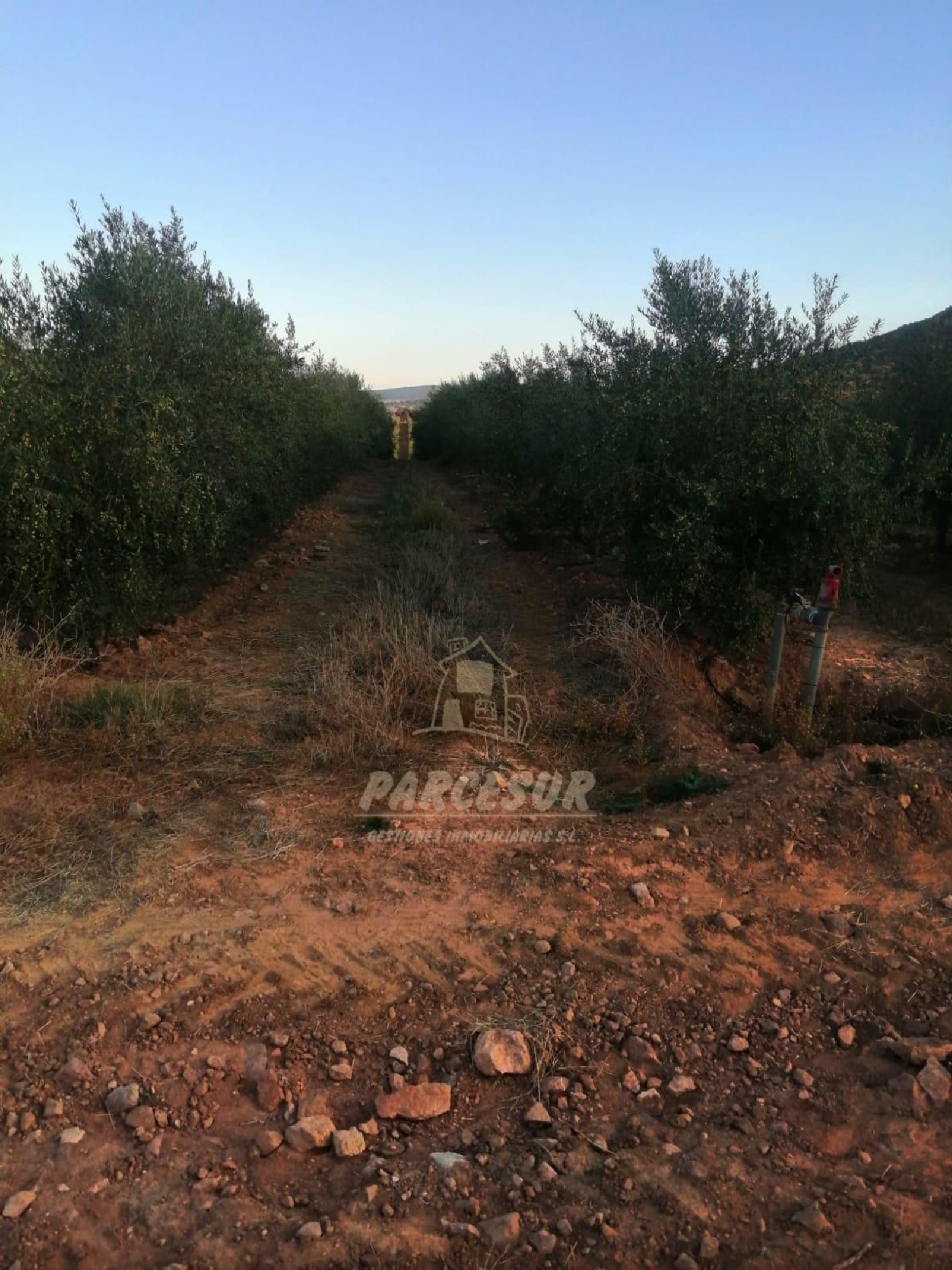  à vendre maison de campagne La Granjuela Valle Del Guadiato 6