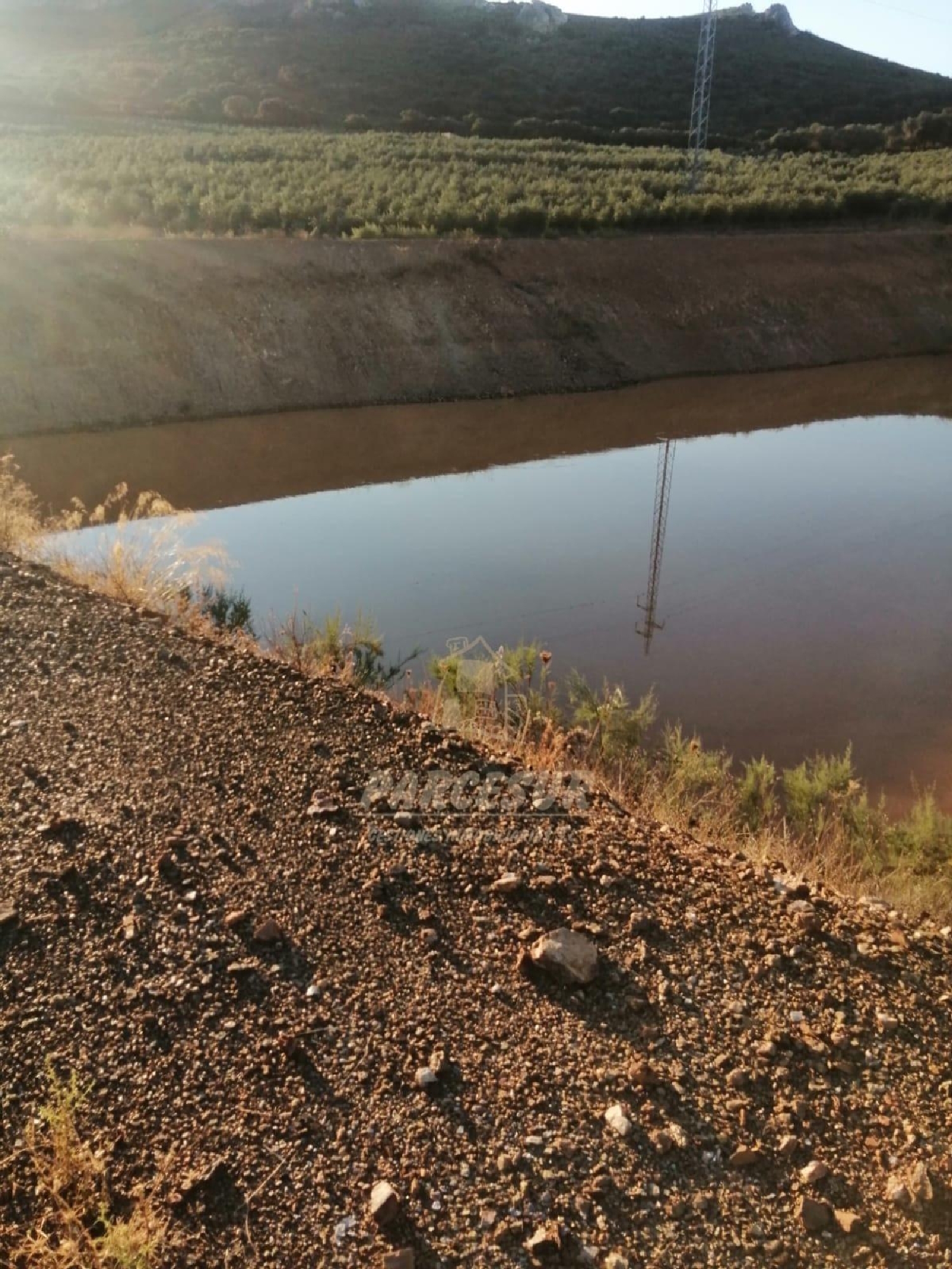 à vendre maison de campagne La Granjuela Valle Del Guadiato 3