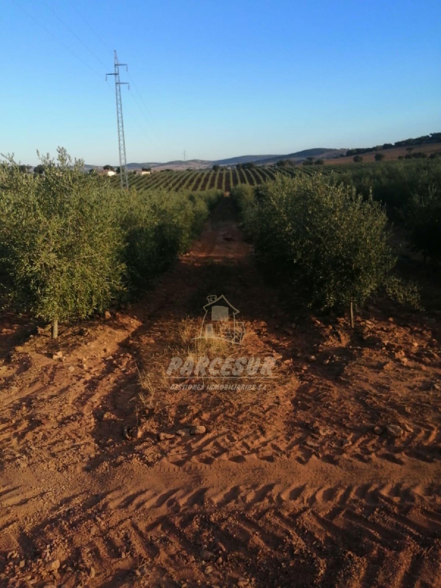  à vendre maison de campagne La Granjuela Valle Del Guadiato 8