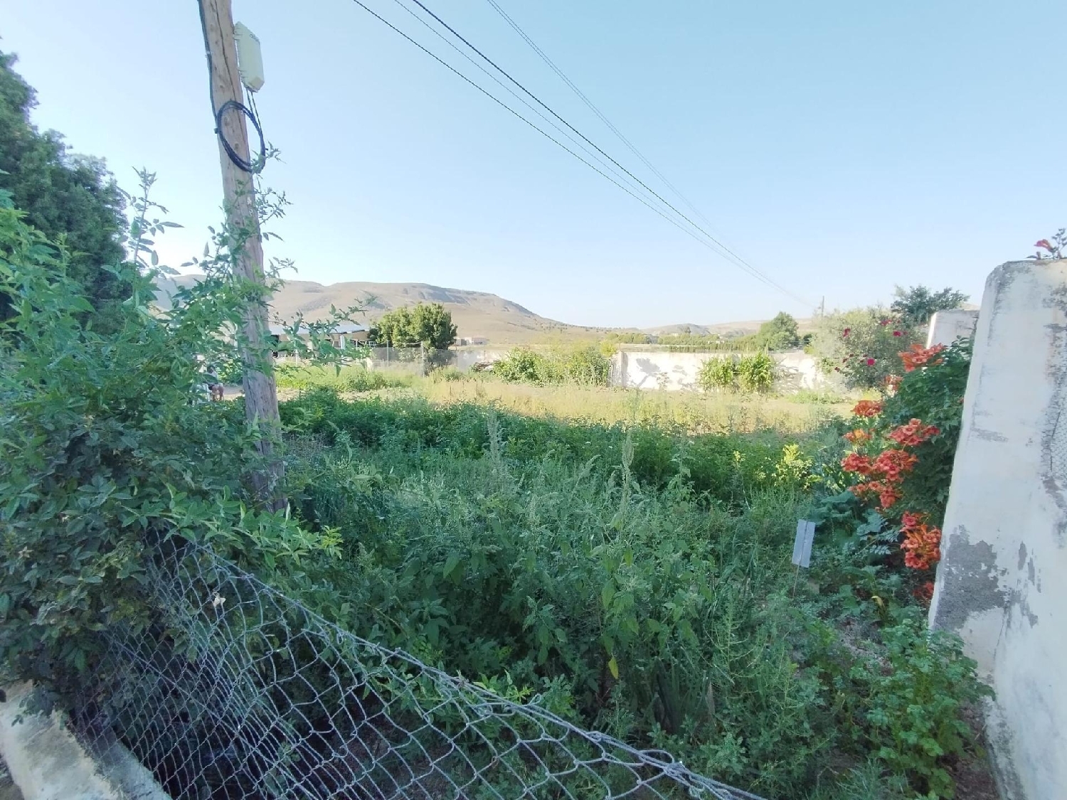  te koop boerderij La Malahá Alhama 7