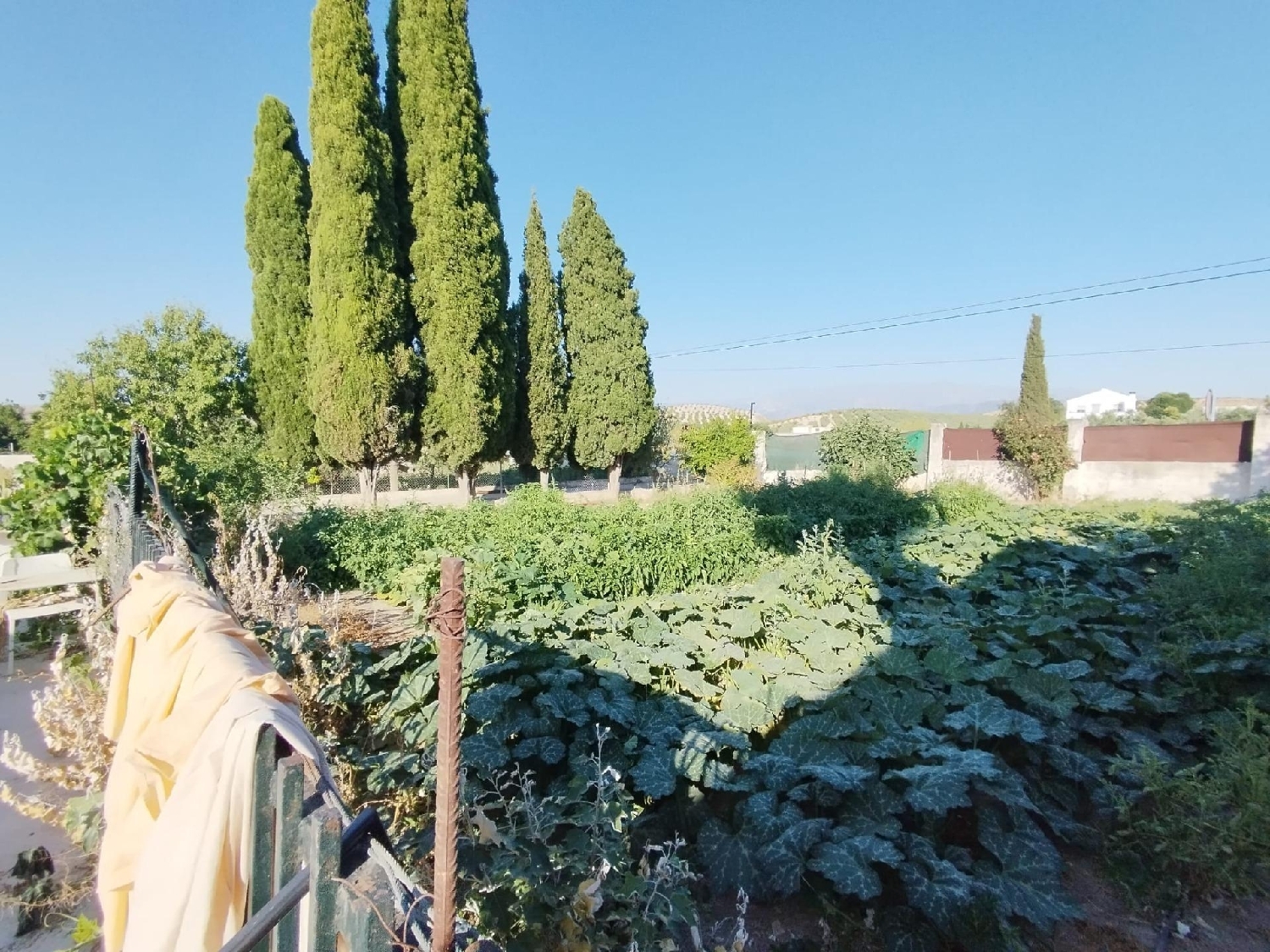  te koop boerderij La Malahá Alhama 8