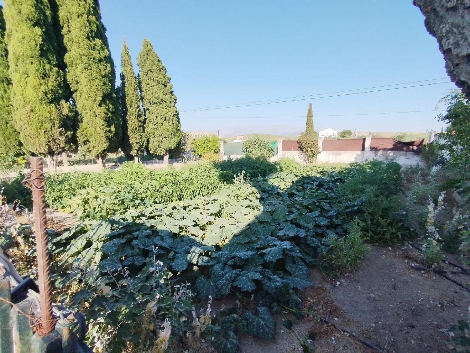  te koop boerderij La Malahá Alhama 6