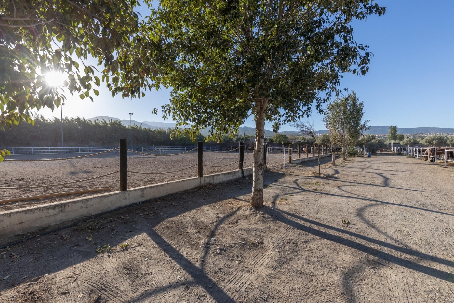  à vendre maison de campagne La Zubia Vega De Granada 5