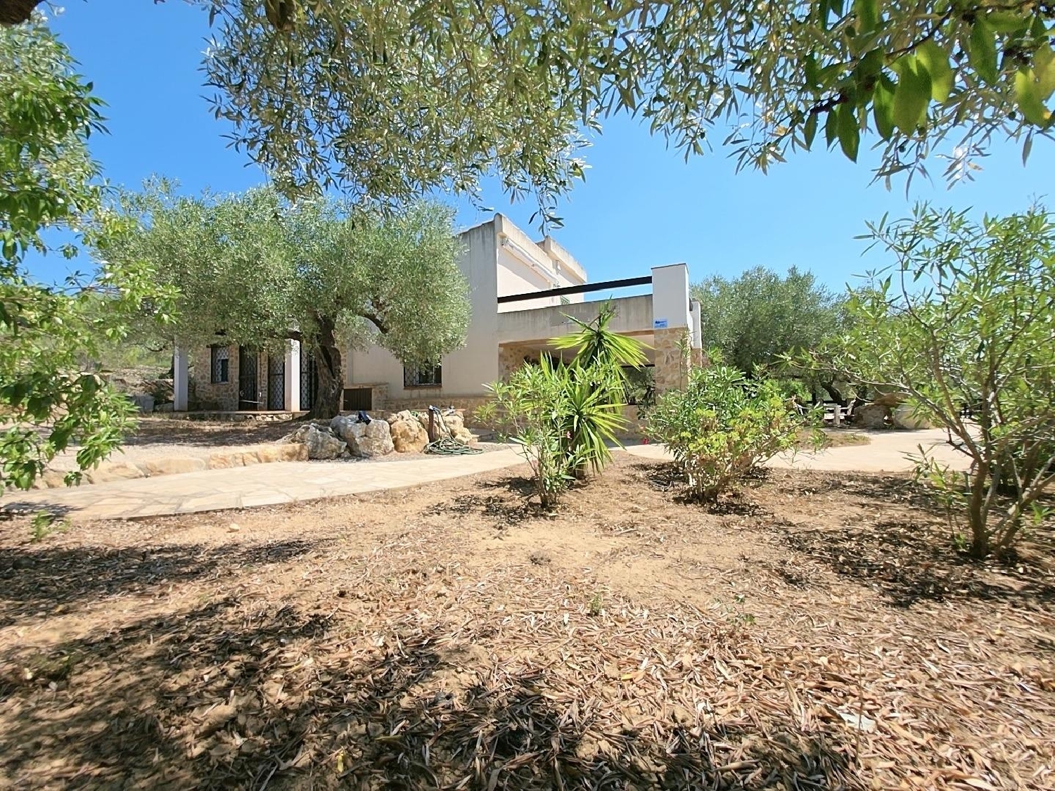  en venta finca rústica L'ametlla De Mar Baix Ebre 4