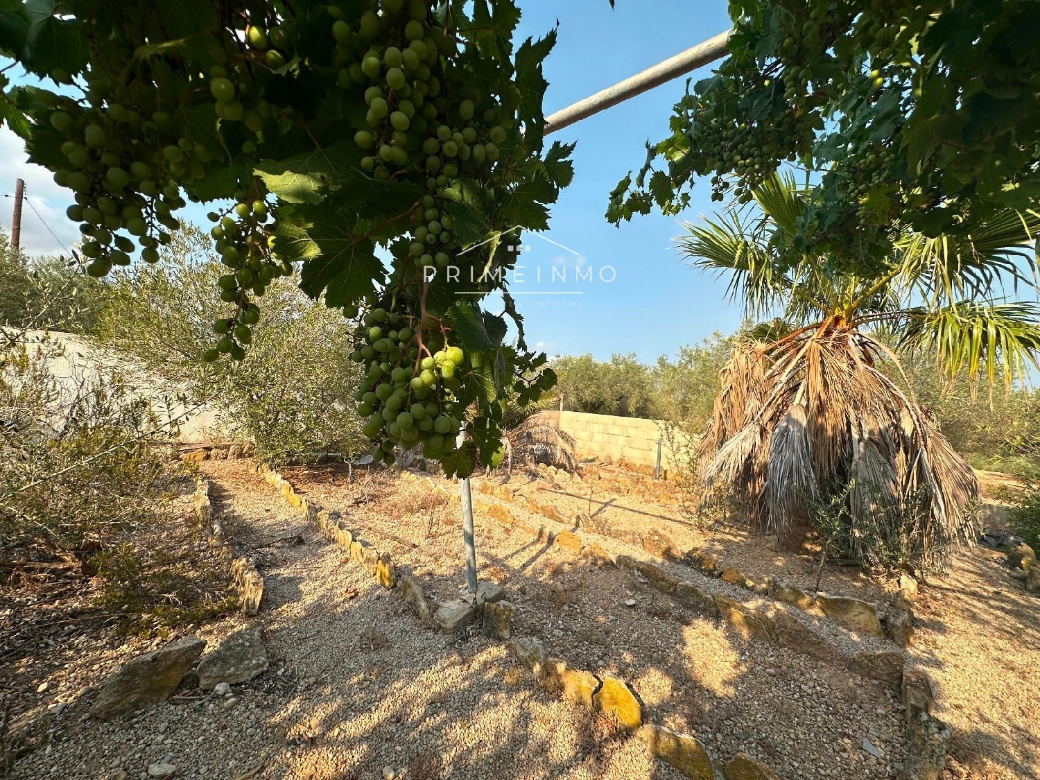  te koop boerderij L'ampolla Baix Ebre 12
