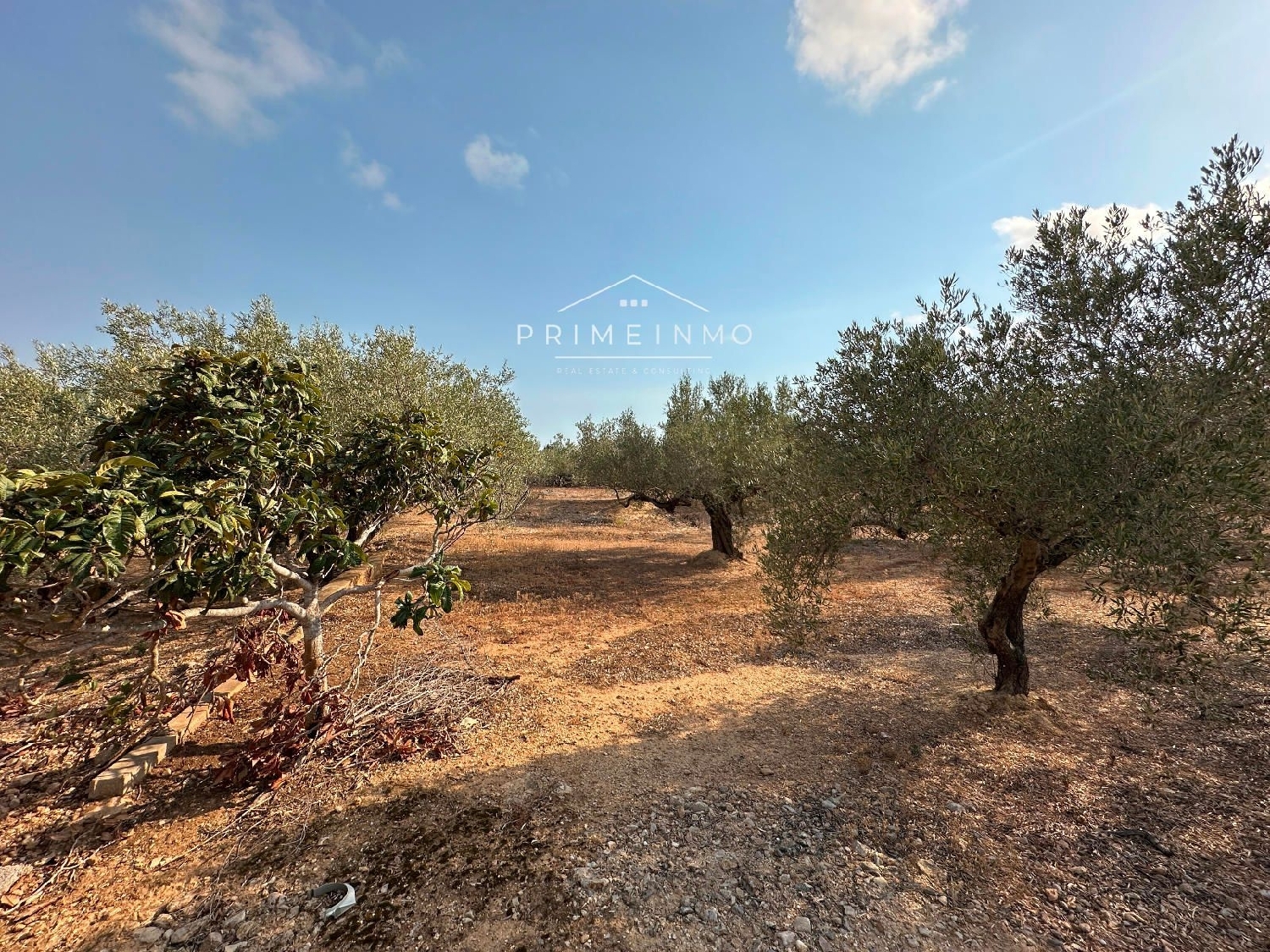  te koop boerderij L'ampolla Baix Ebre 14