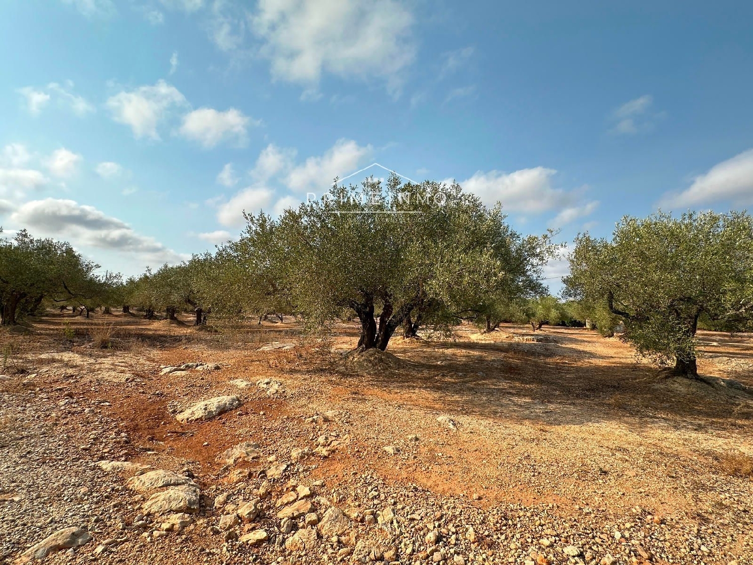  te koop boerderij L'ampolla Baix Ebre 17