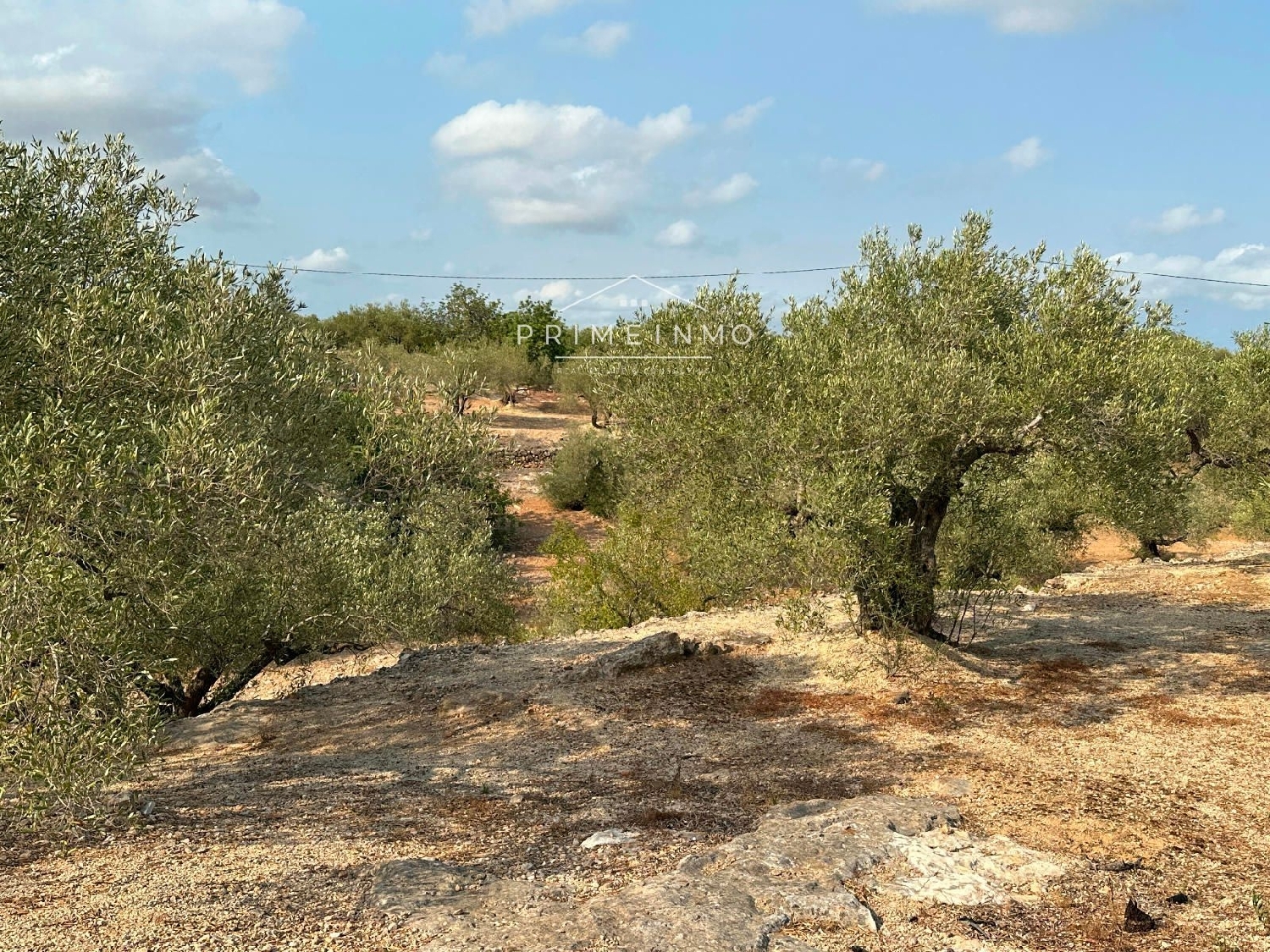 te koop boerderij L'ampolla Baix Ebre 16