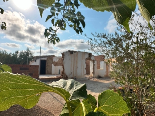 L''ampolla Baix Ebre country house foto 6271512