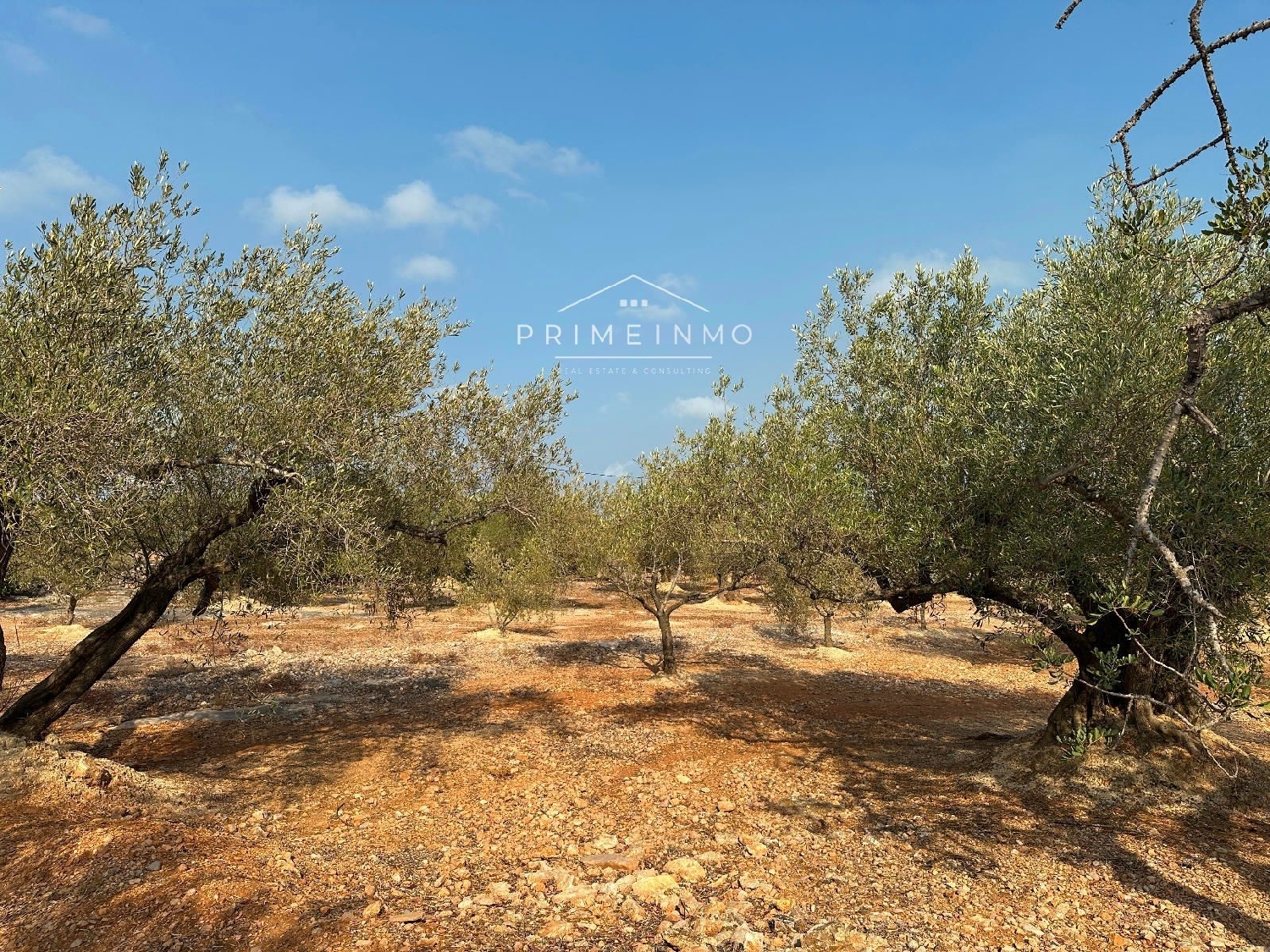  te koop boerderij L'ampolla Baix Ebre 22