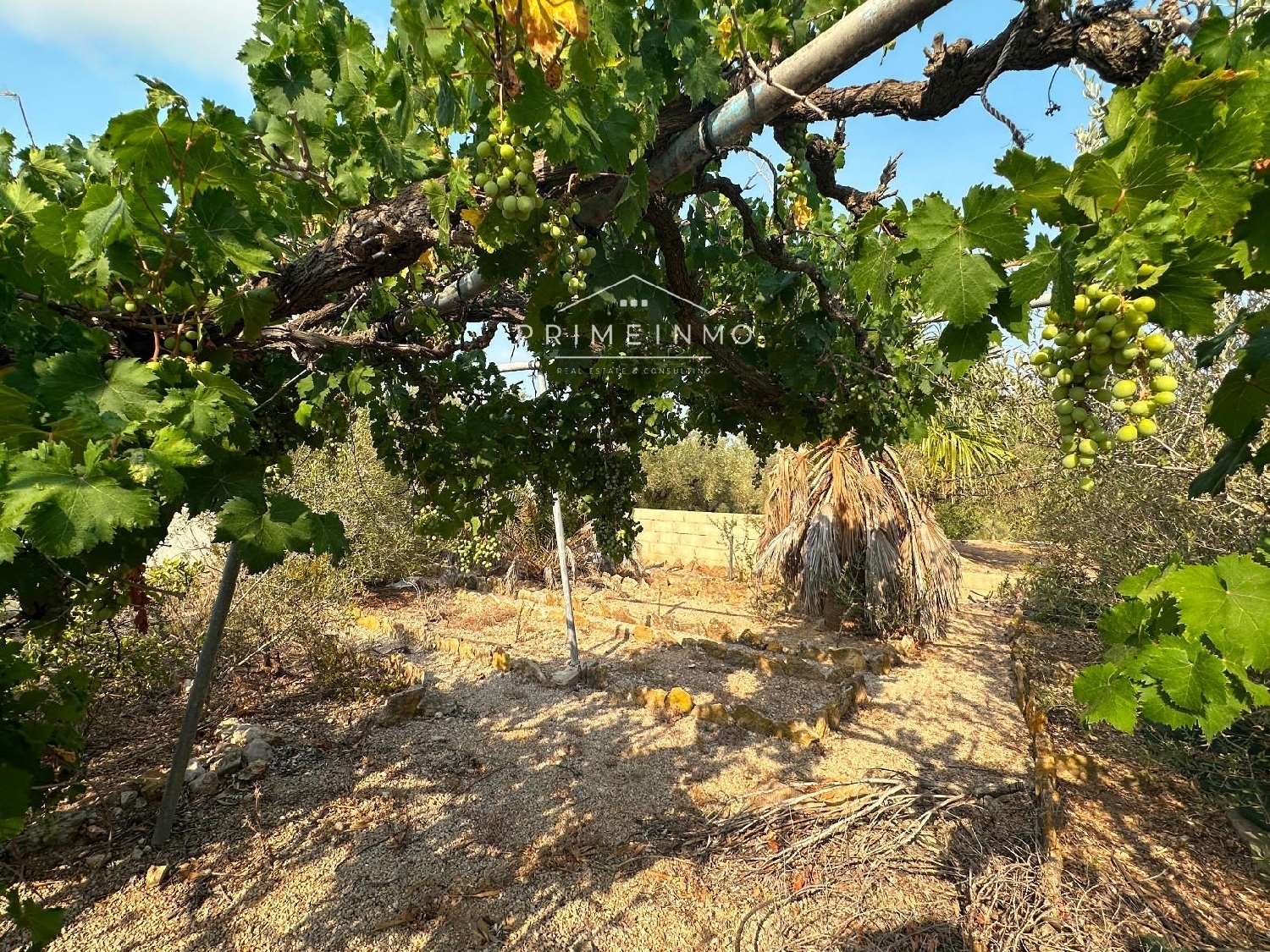  te koop boerderij L'ampolla Baix Ebre 11