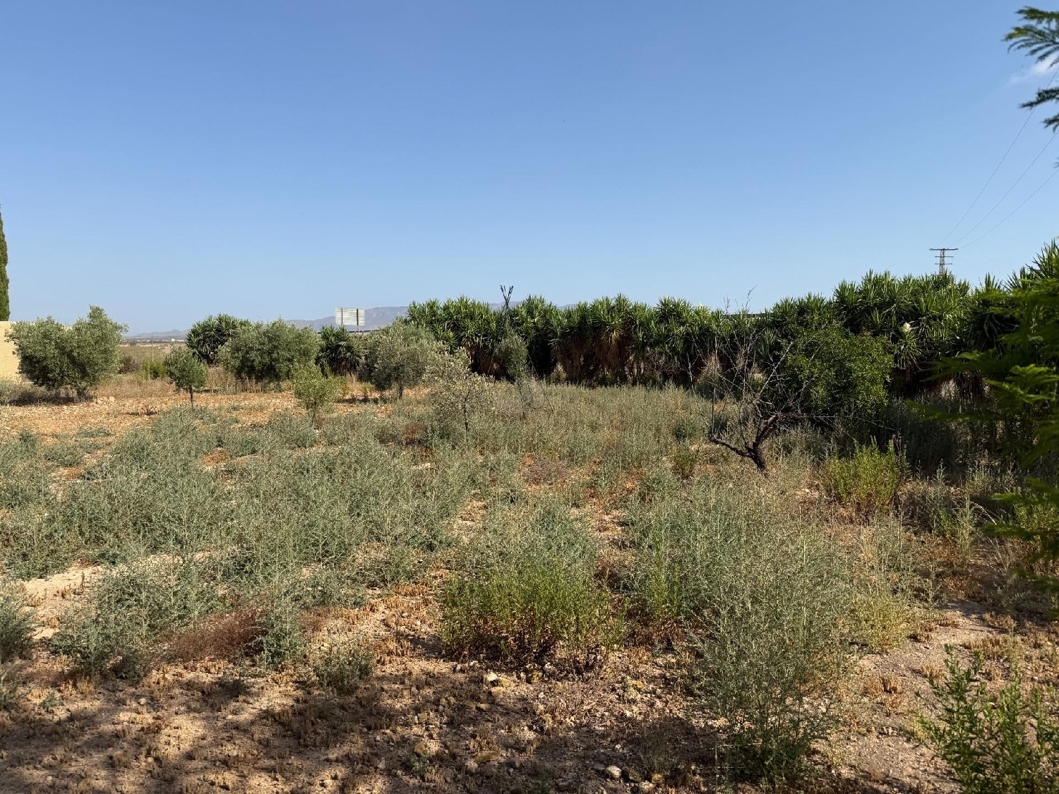  te koop boerderij Los Conesas Huerta De Murcia 4