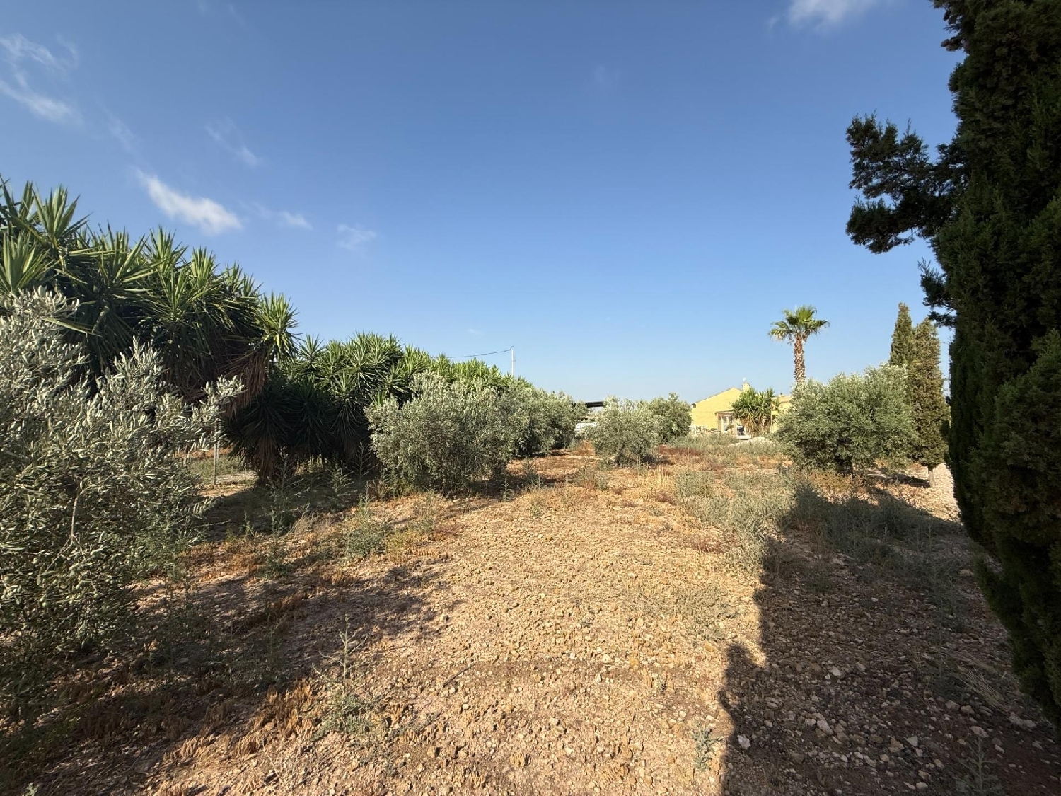  te koop boerderij Los Conesas Huerta De Murcia 7