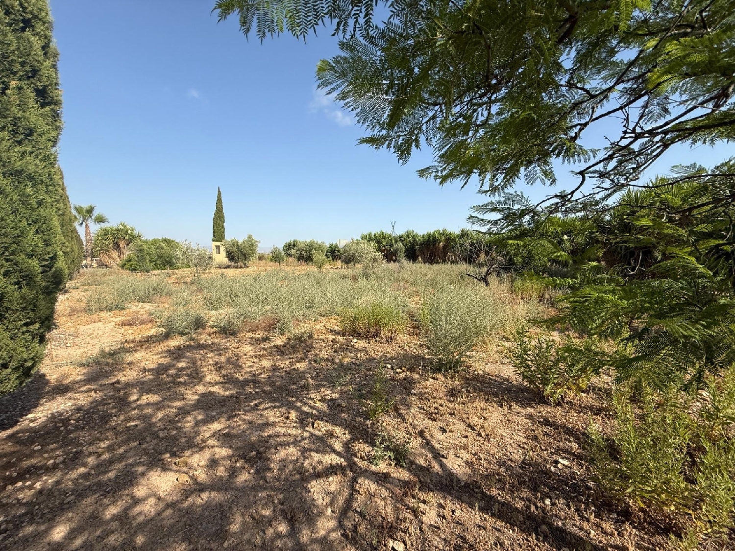  te koop boerderij Los Conesas Huerta De Murcia 8
