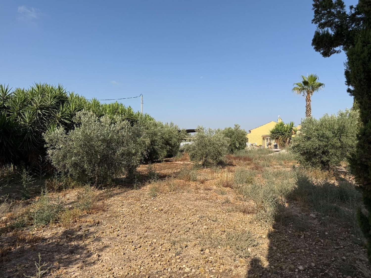  te koop boerderij Los Conesas Huerta De Murcia 5
