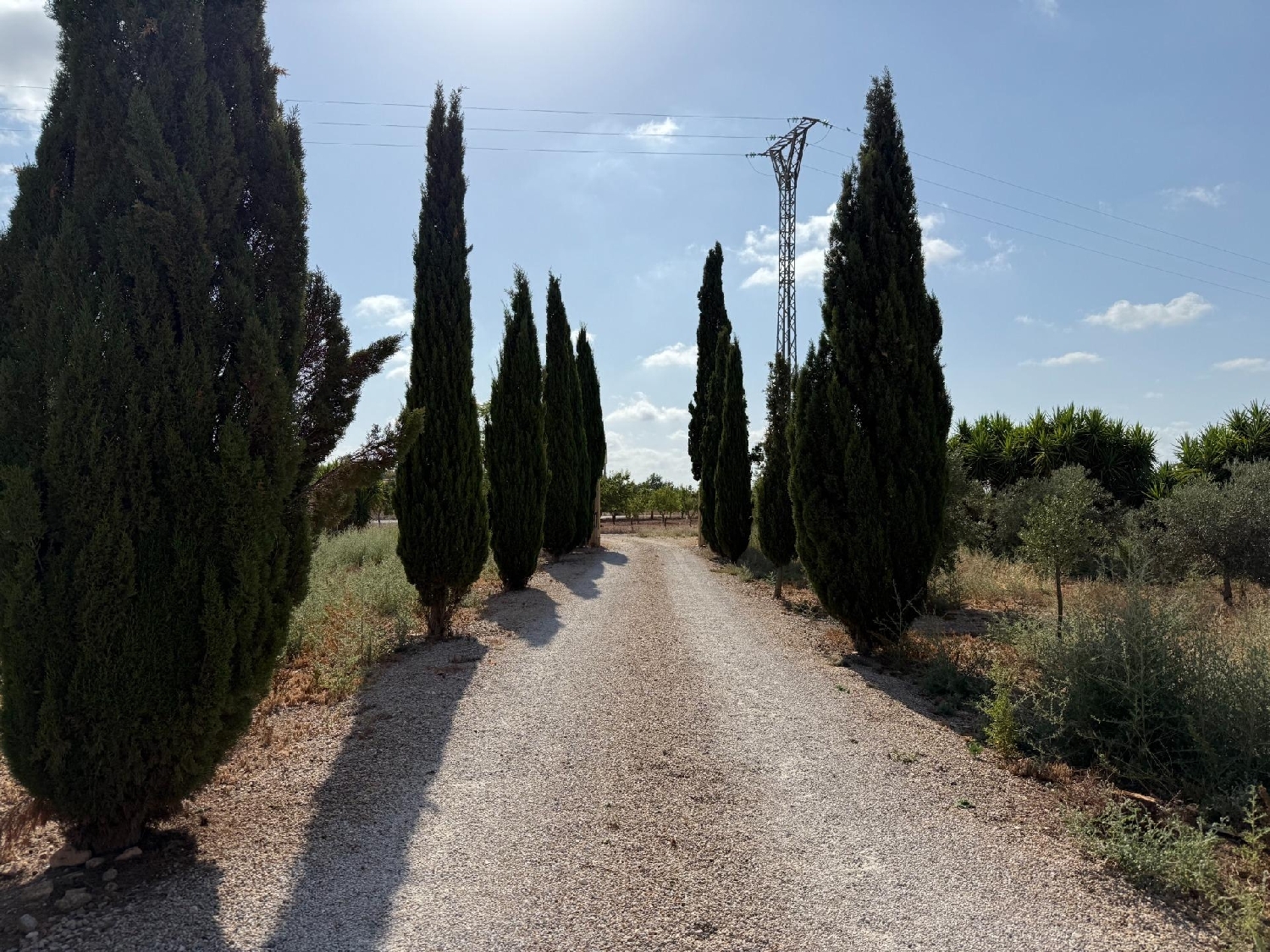  te koop boerderij Los Conesas Huerta De Murcia 2