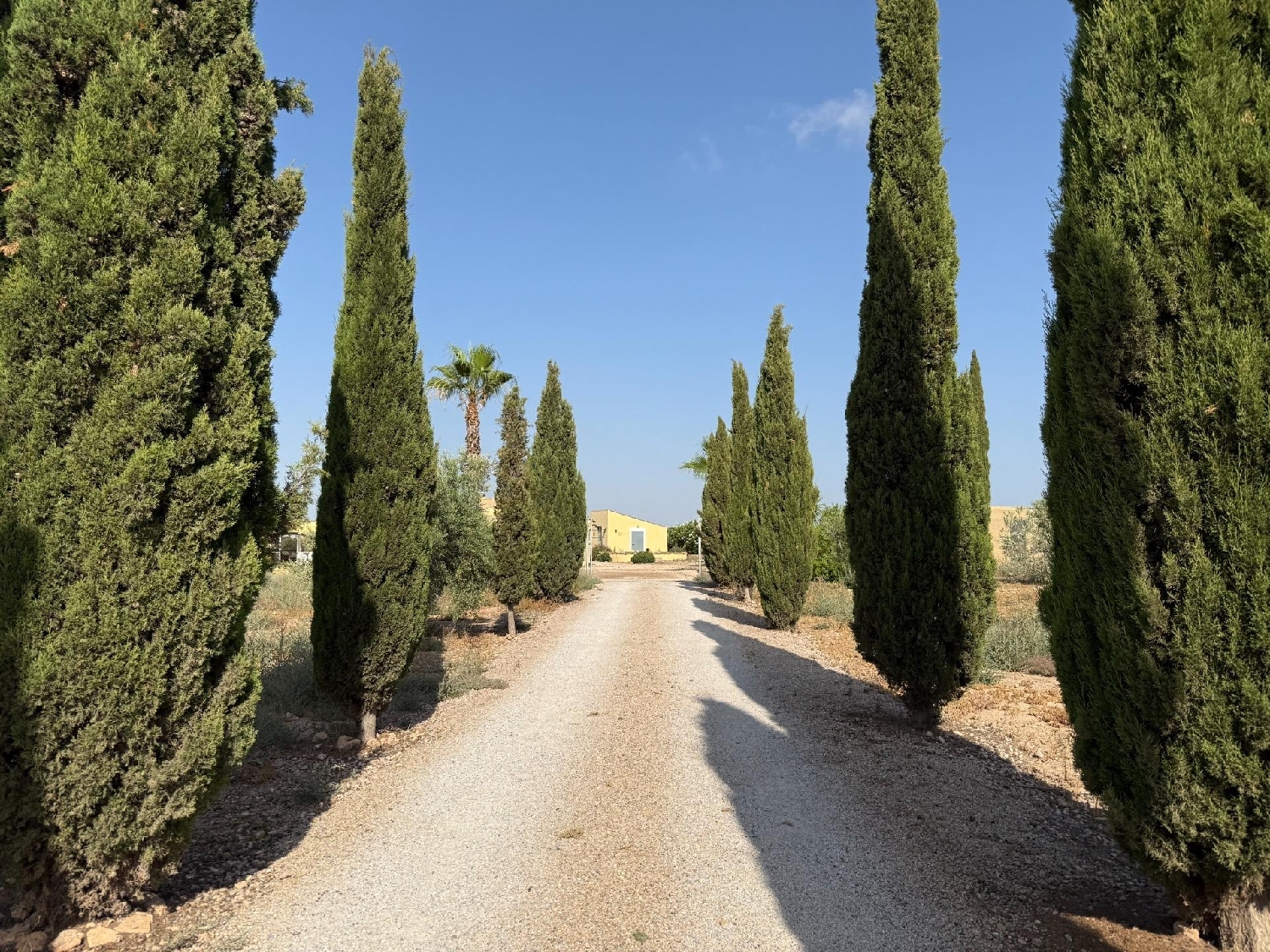  te koop boerderij Los Conesas Huerta De Murcia 3