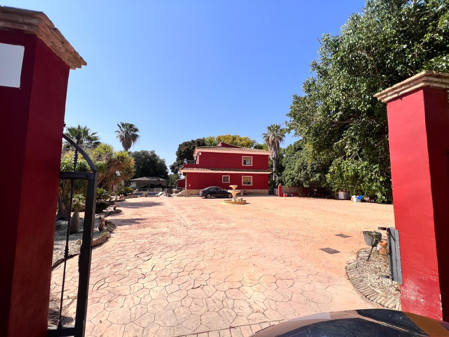 en venta finca rústica Los Montesinos Baix Segura 3