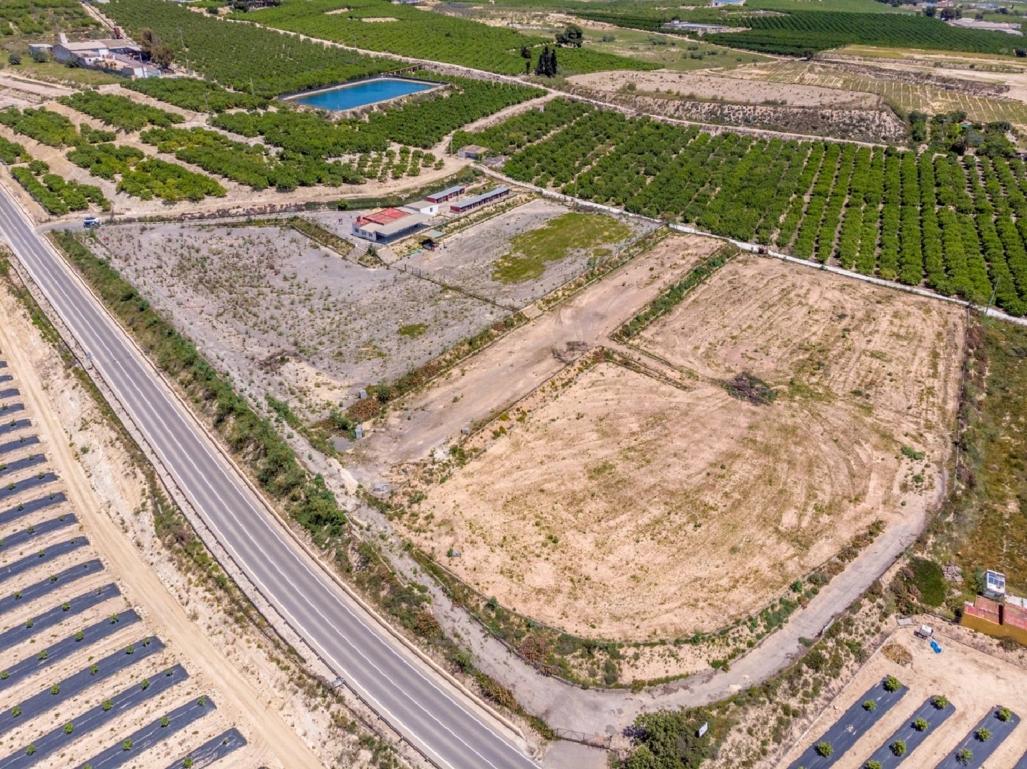  en venta finca rústica Los Montesinos Baix Segura 1