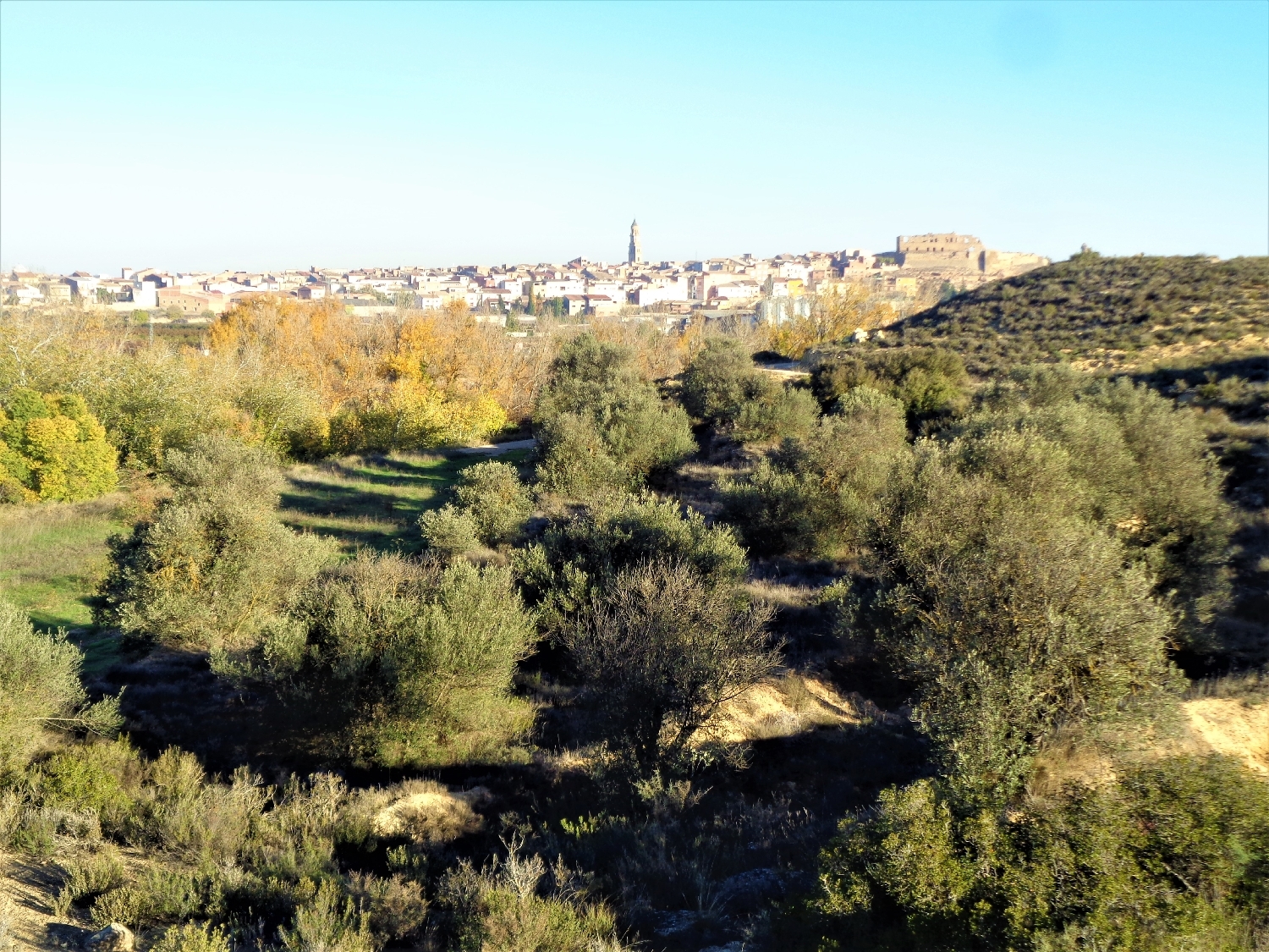  à vendre maison de campagne Maella Bajo Aragón-Caspe 13