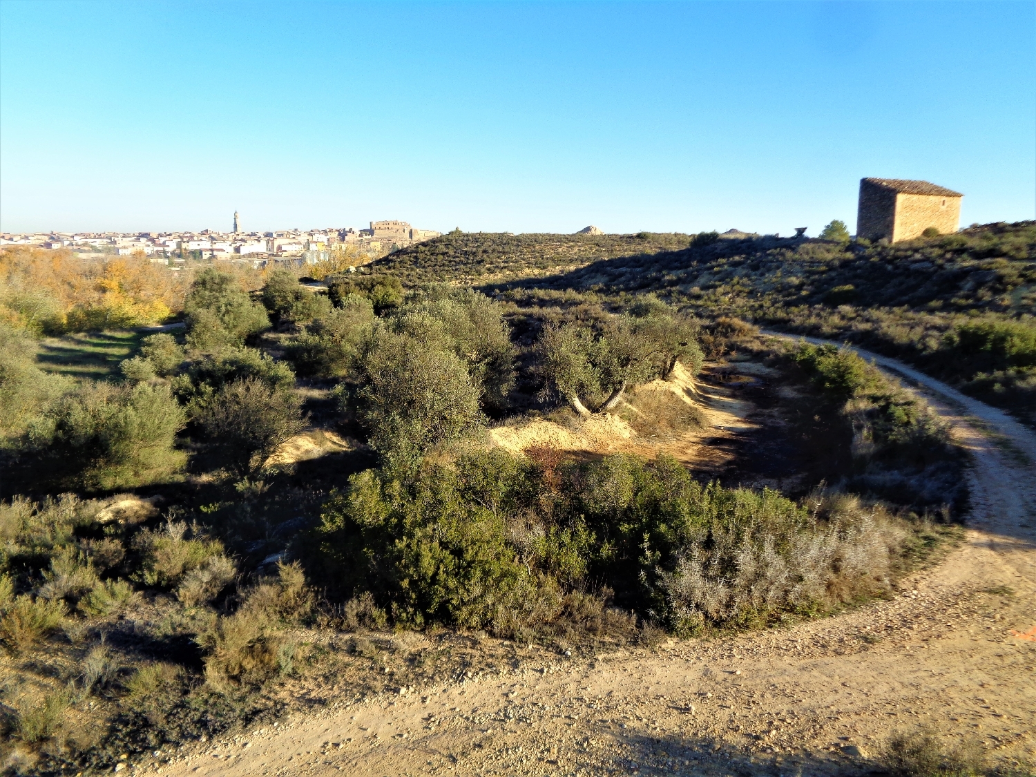  à vendre maison de campagne Maella Bajo Aragón-Caspe 3