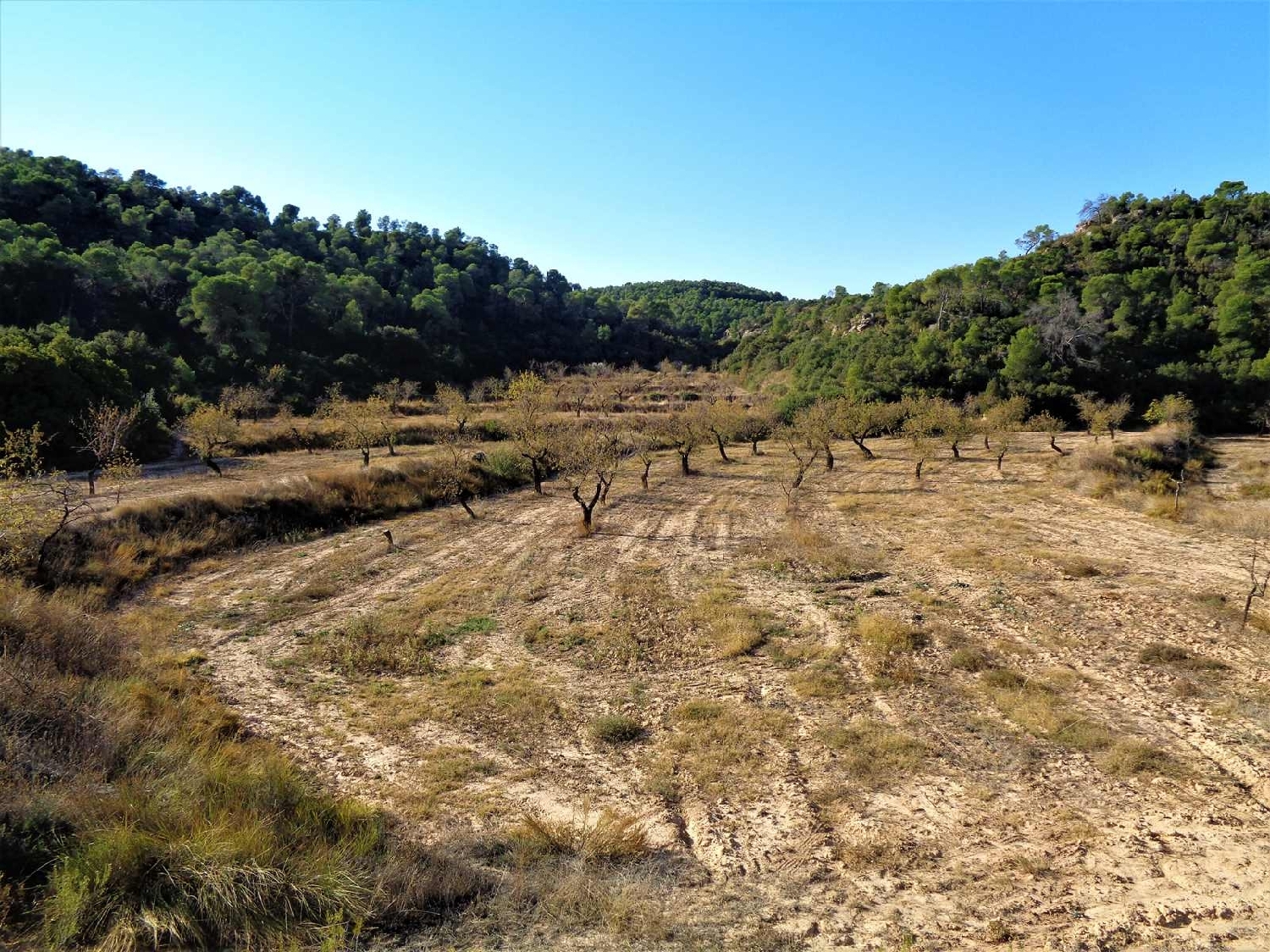  à vendre maison de campagne Maella Bajo Aragón-Caspe 7