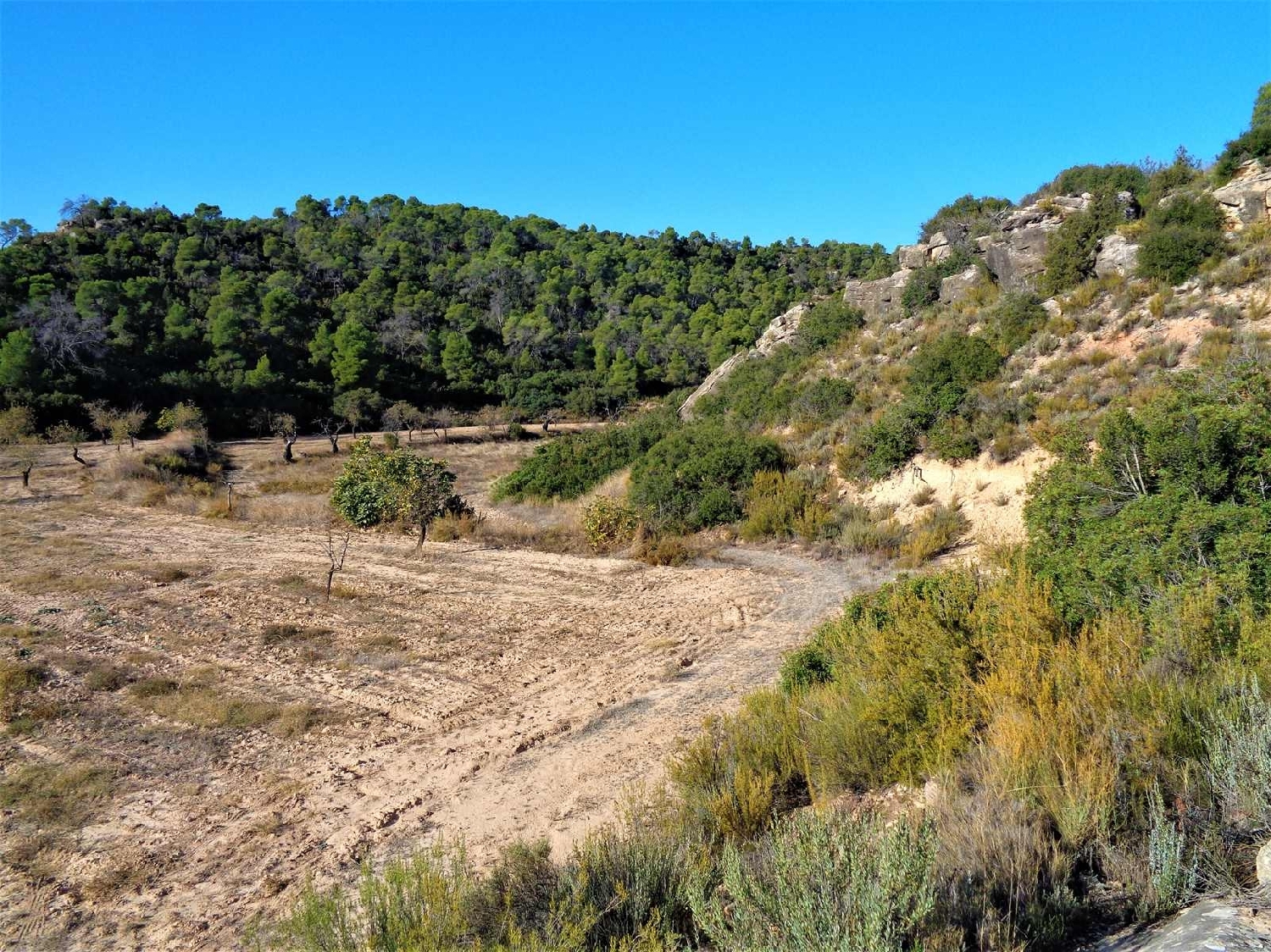  à vendre maison de campagne Maella Bajo Aragón-Caspe 8
