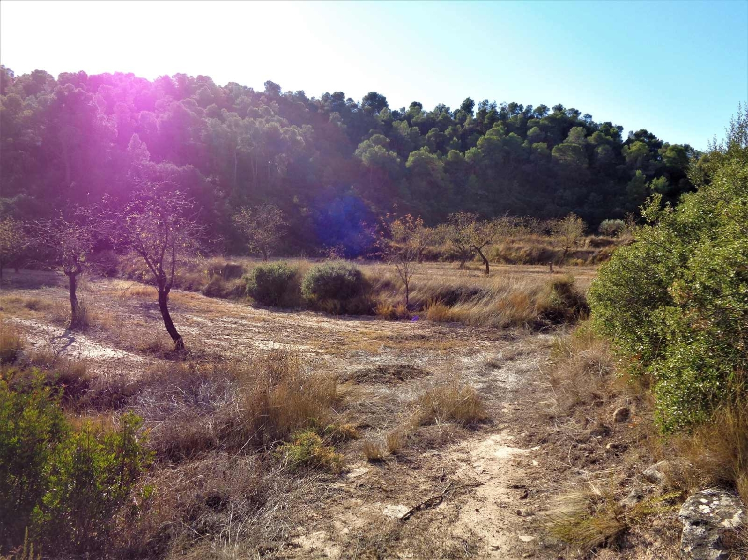  à vendre maison de campagne Maella Bajo Aragón-Caspe 5